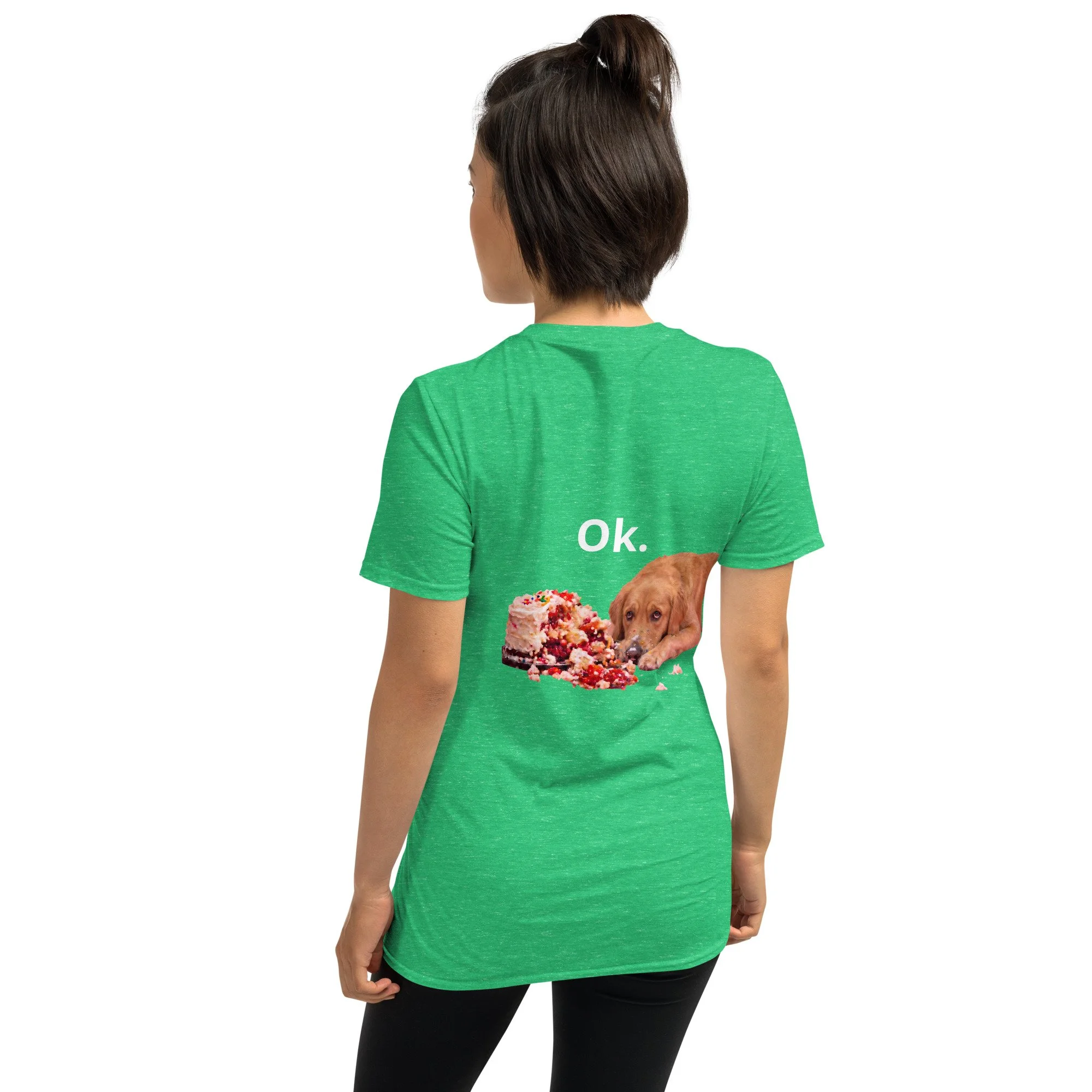 unisex-basic-softstyle-t-shirt-heather-irish-green-back-6a65764a8a651.jpg
