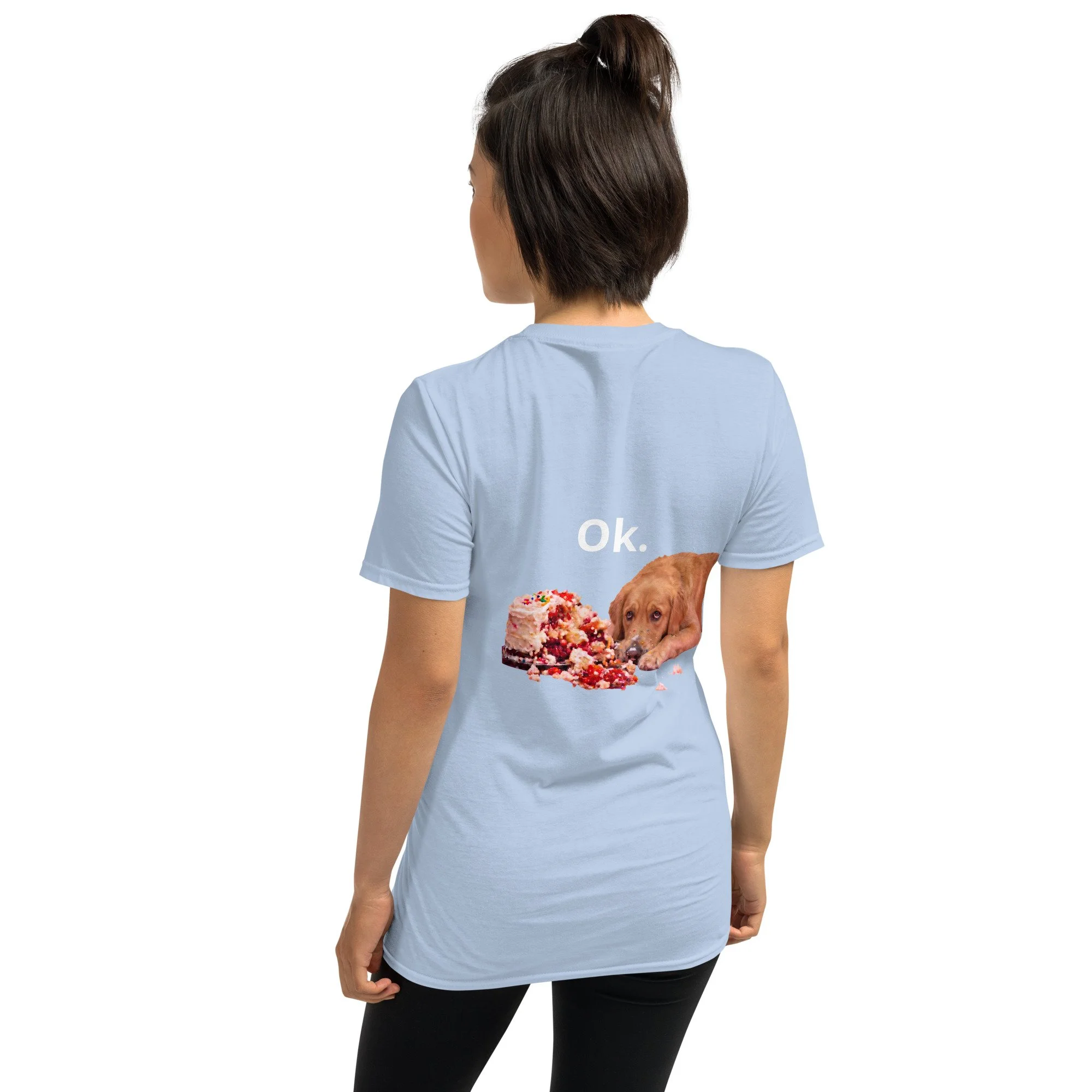 unisex-basic-softstyle-t-shirt-light-blue-back-6a65764aa252b.jpg