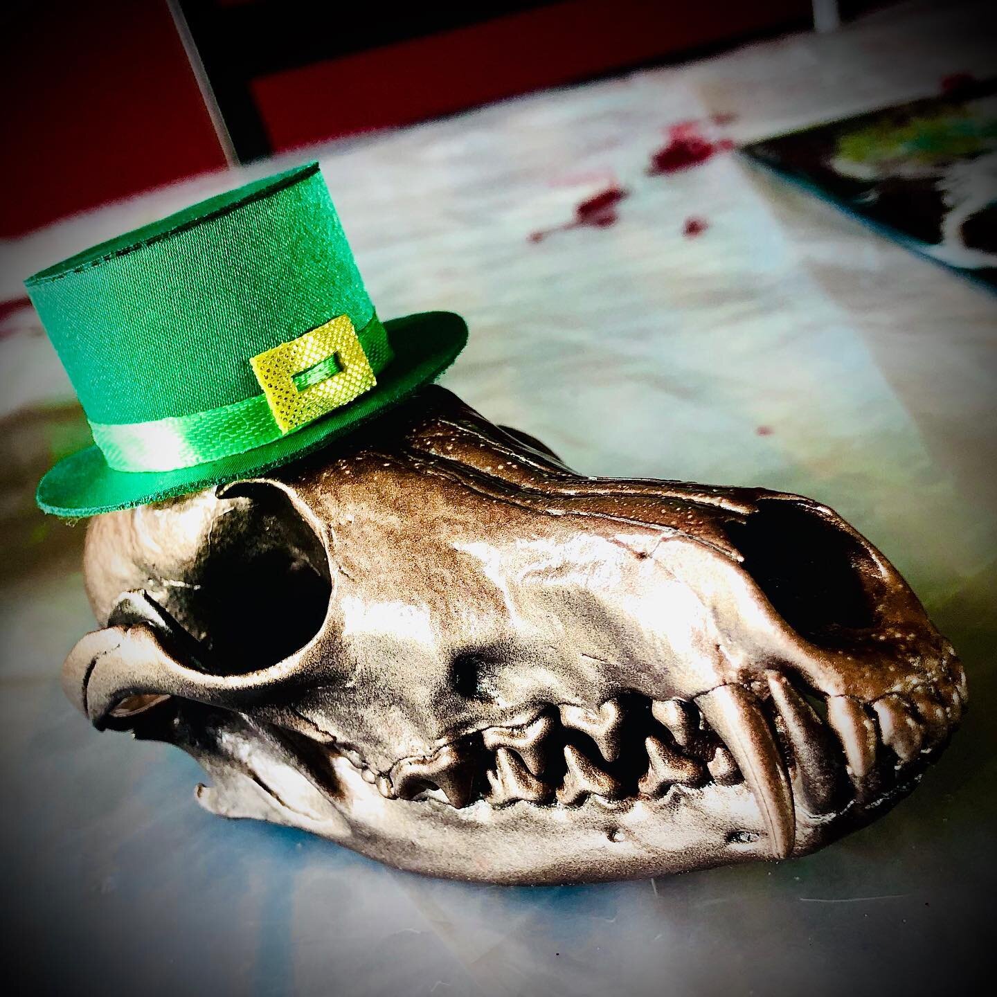 We have a fox leprechaun in the making!! ☘️ found the perfect hat! .
.
.
#leprechaun #shamrock #stpatricksday #stpattysday #foxskull #skull #skullartist #northdakotaartist #watfordcitynd #bonecollector #creativesoul #artwithnature