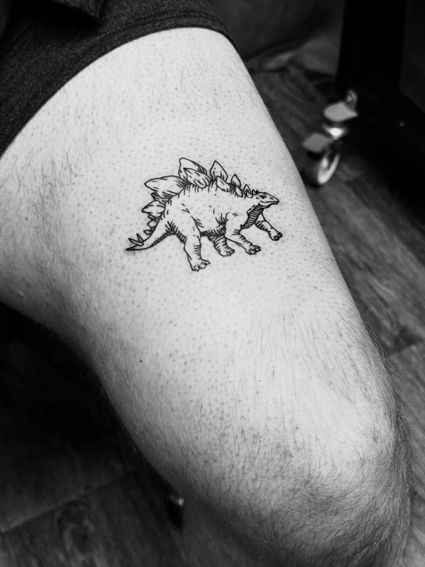 A little custom stegosaurus for Jack from today&hellip;