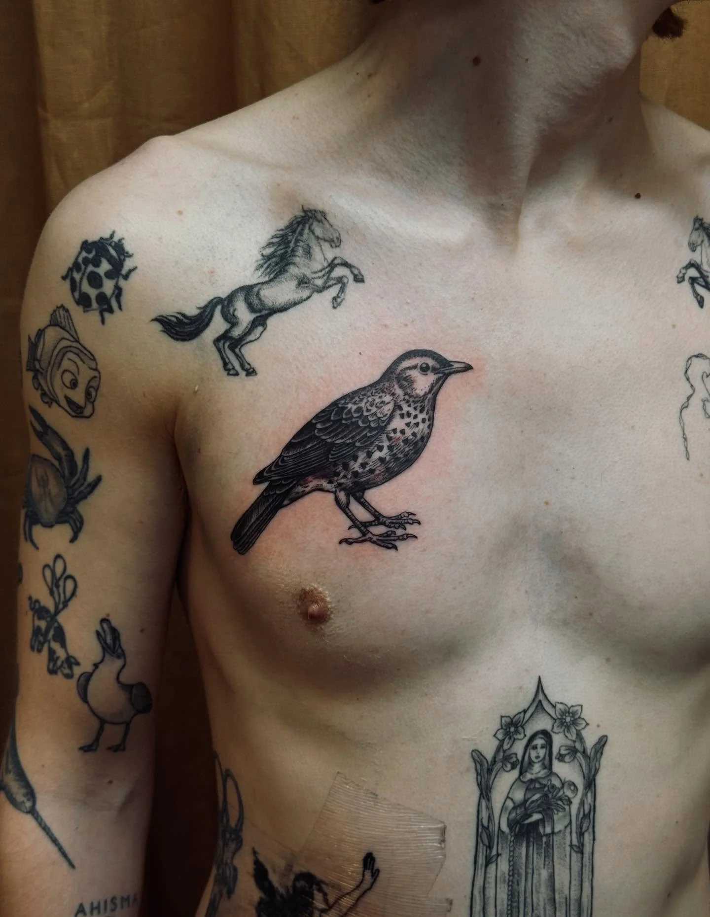 A custom thrush for James from yesterday&hellip;