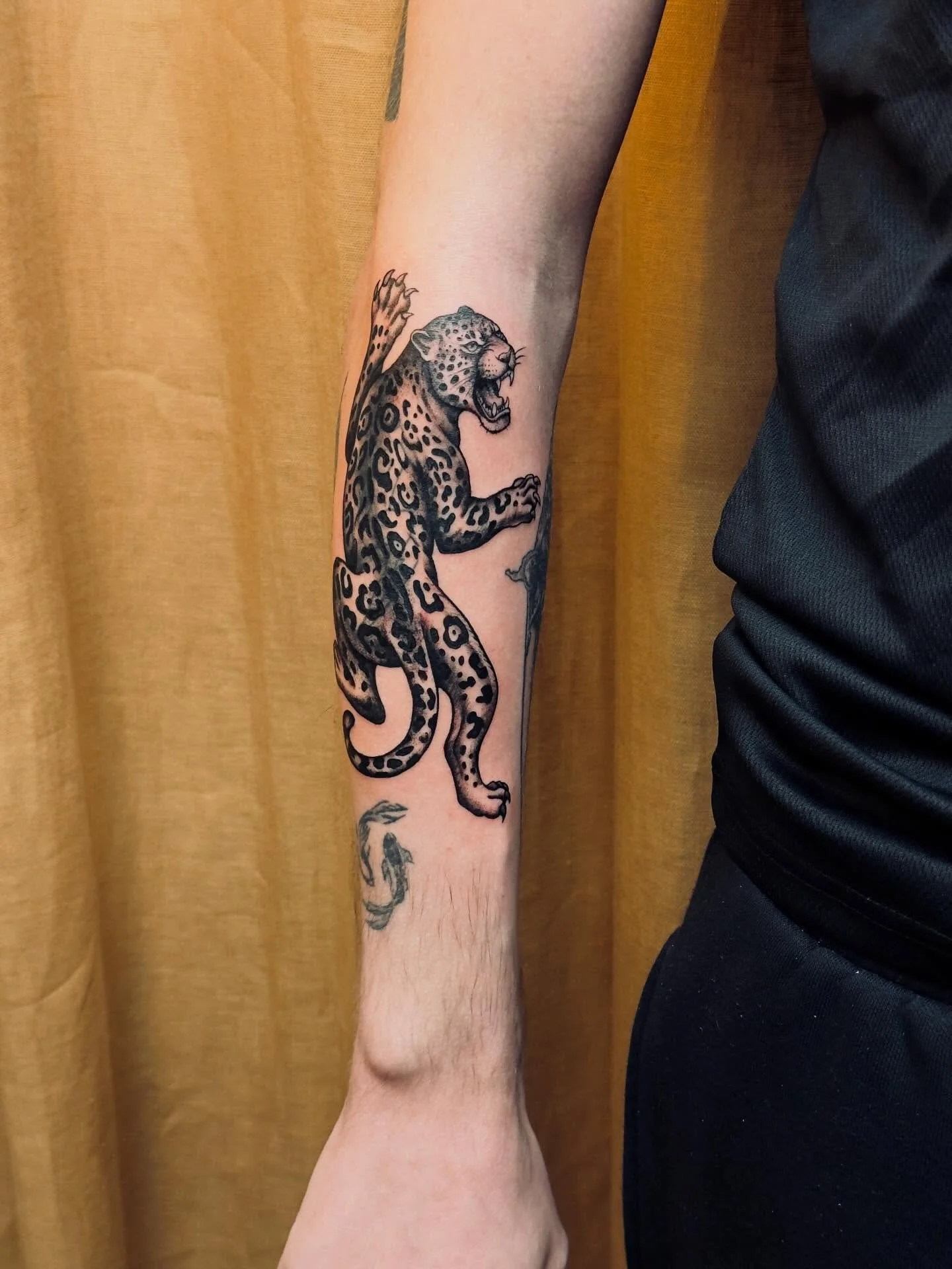 A classic jaguar for Jack and a nobleman with death for Dan from today&hellip;