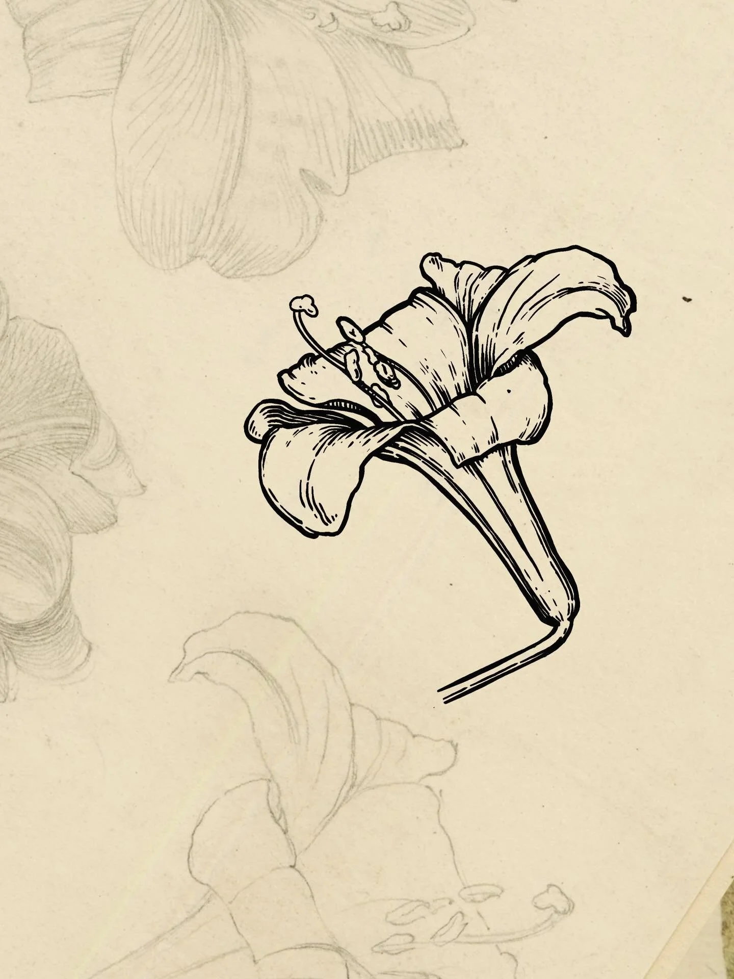 A lily available to tattoo - DM to book&hellip;