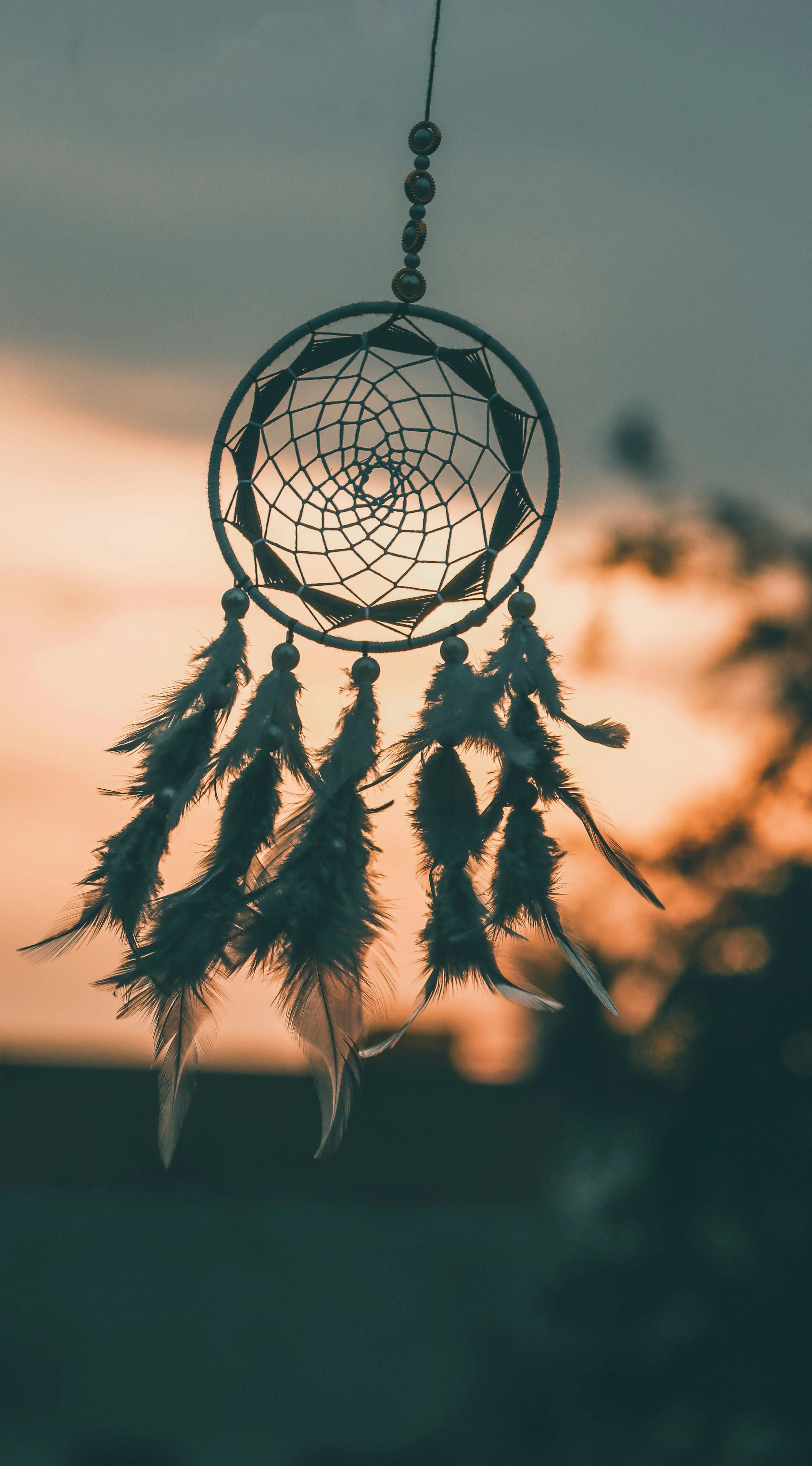 Soul Connection - Wildhood Women Retreat