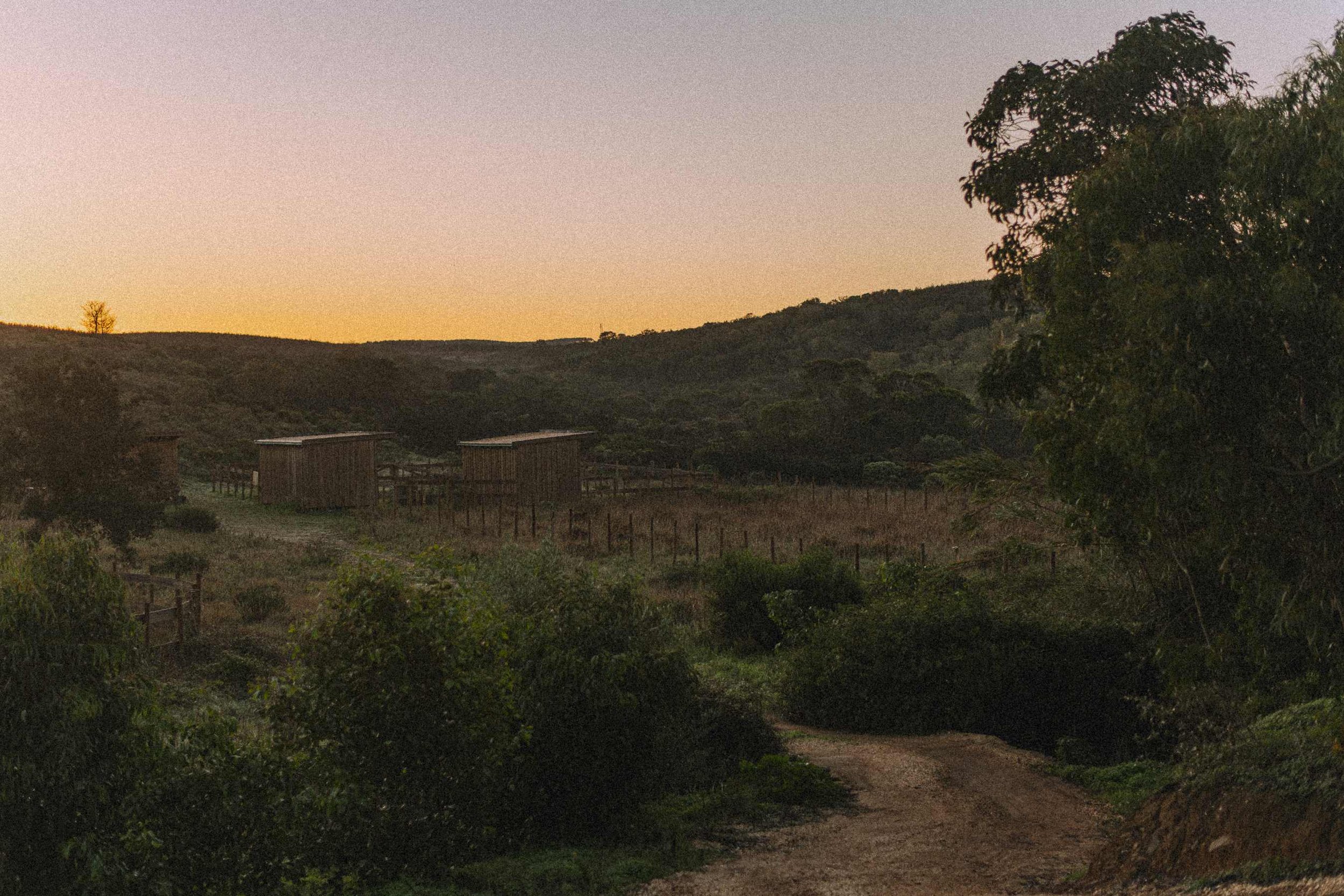 Magic November 2023-6633 resized.jpg