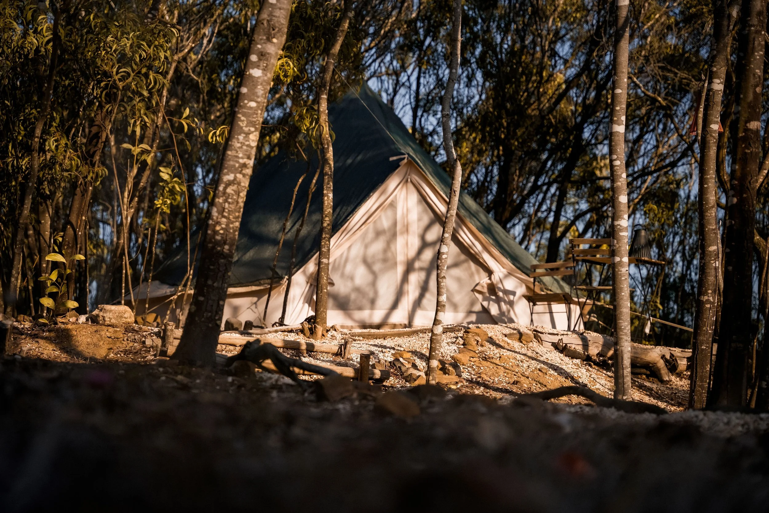 DSC02218 resized.jpg