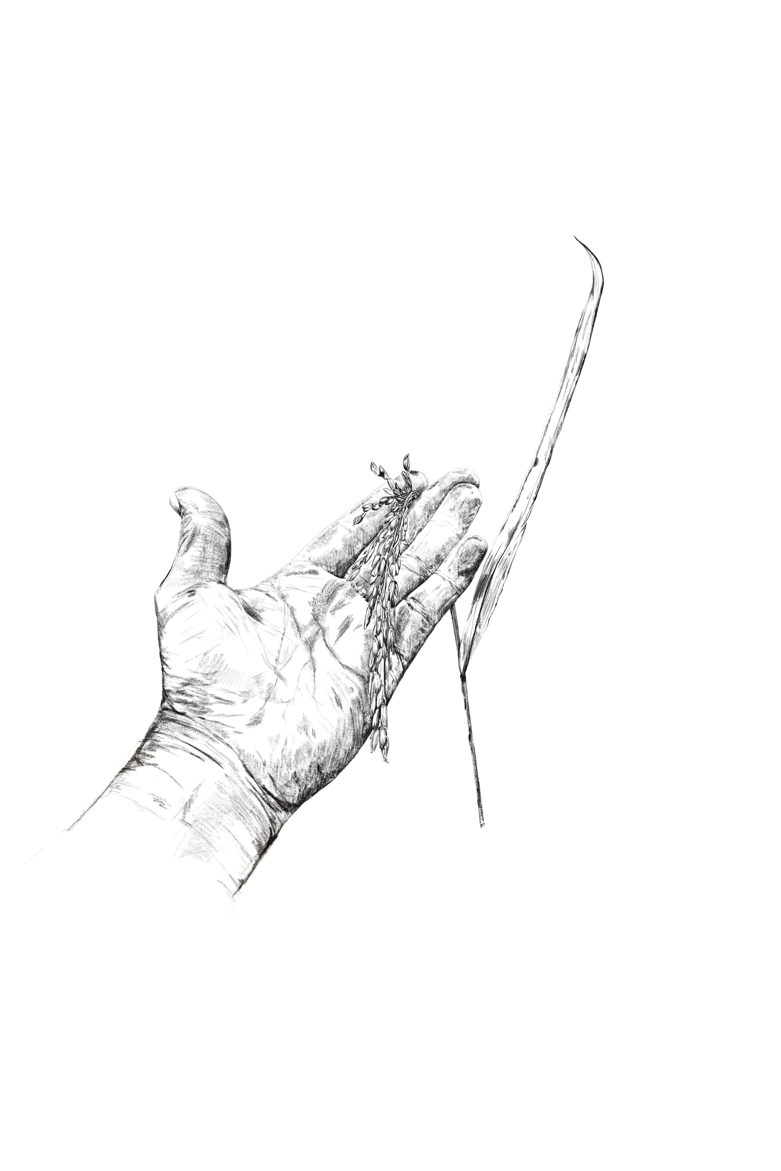 Untitled_Artwork 434.png