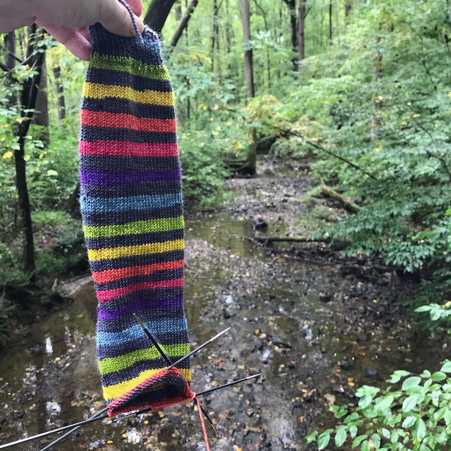 #dcspigskintailgate20 Day 11: Toe up or cuff down? I&rsquo;ve done both (and even designed both!), but I default to cuff down. It just flows in my brain better! These are the Vanilla Is the New Black socks by @designedbyanneh in @lollipopyarn. I like