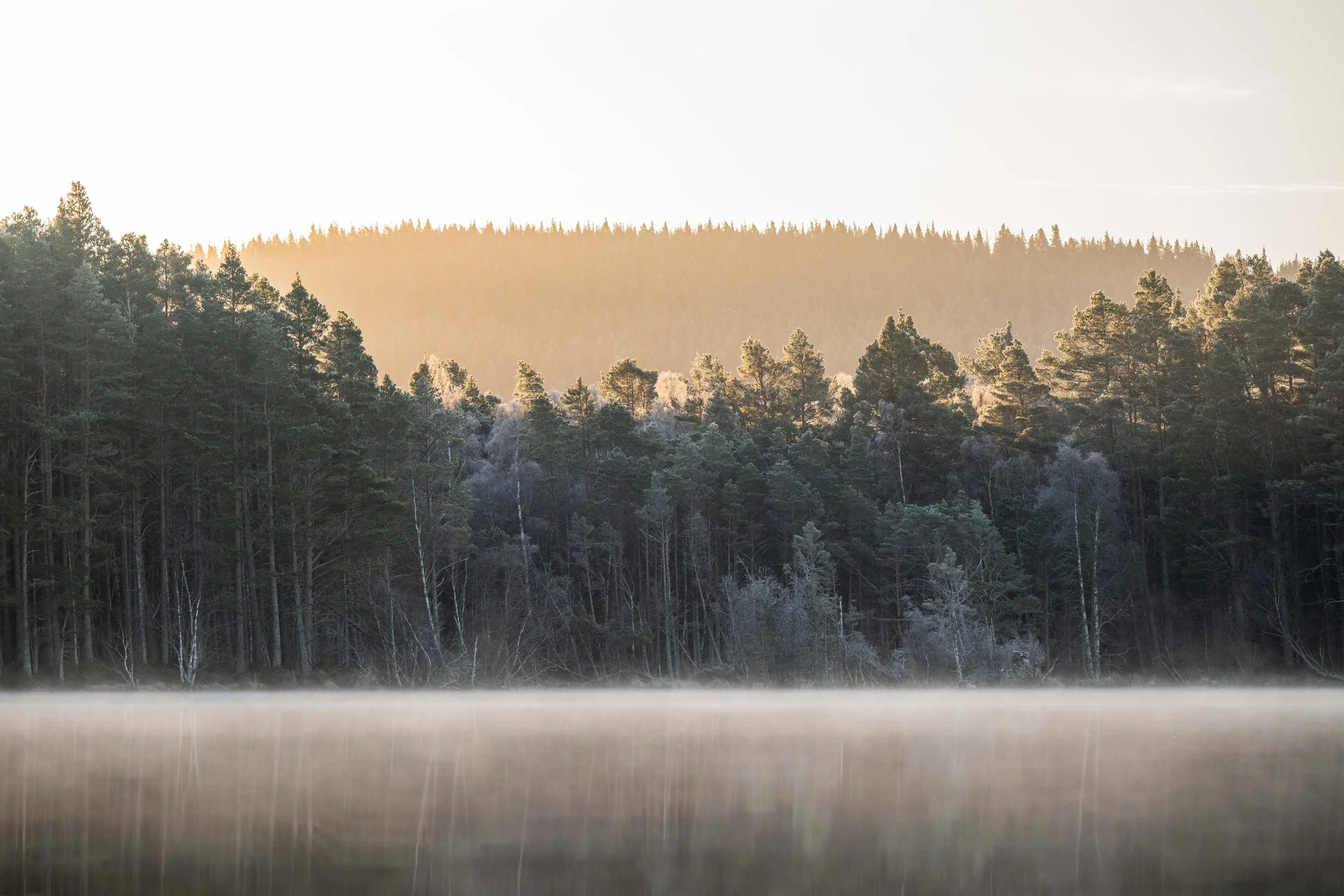 ABERNETHY-12.jpg