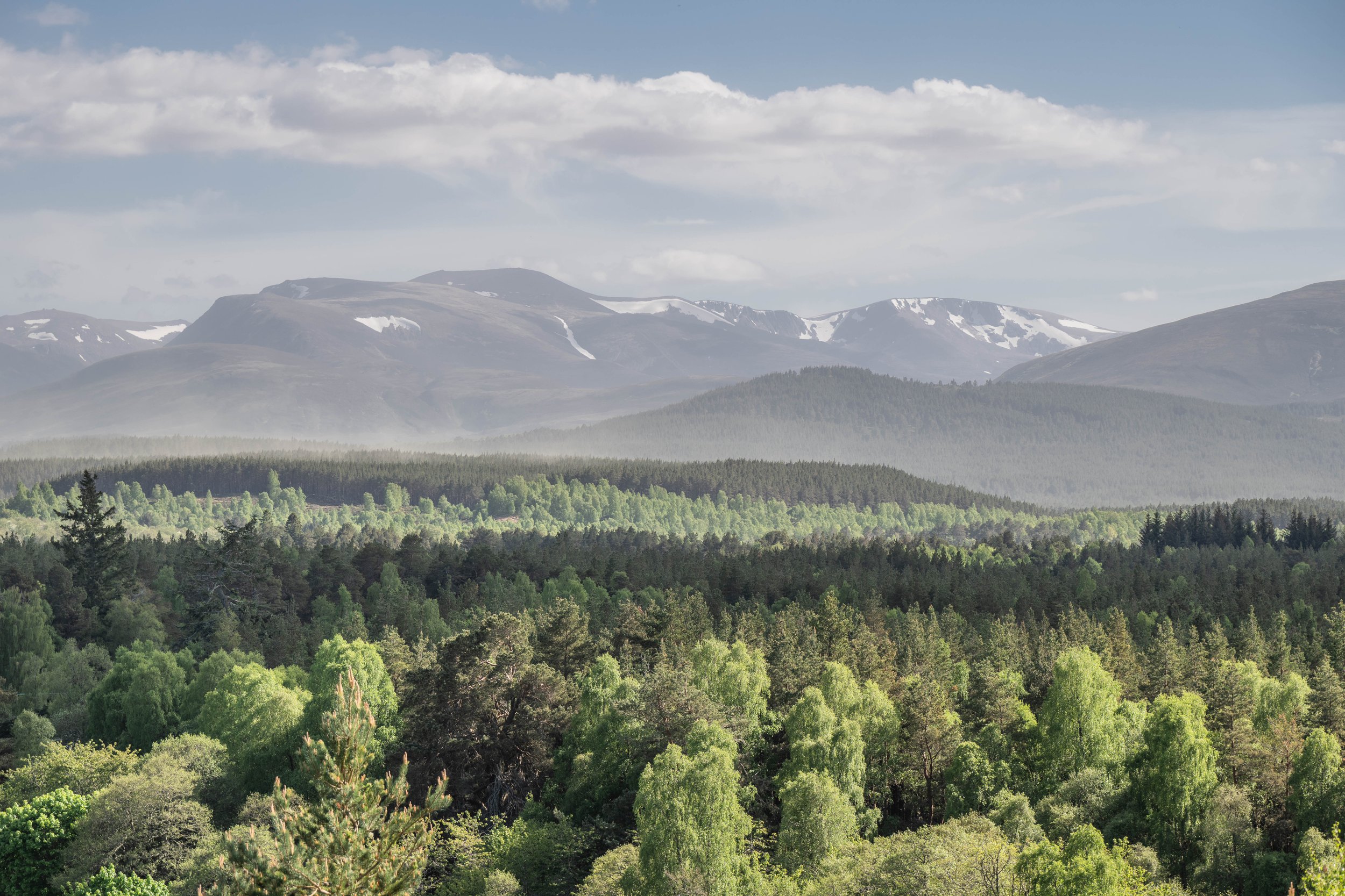 ABERNETHY-5.jpg