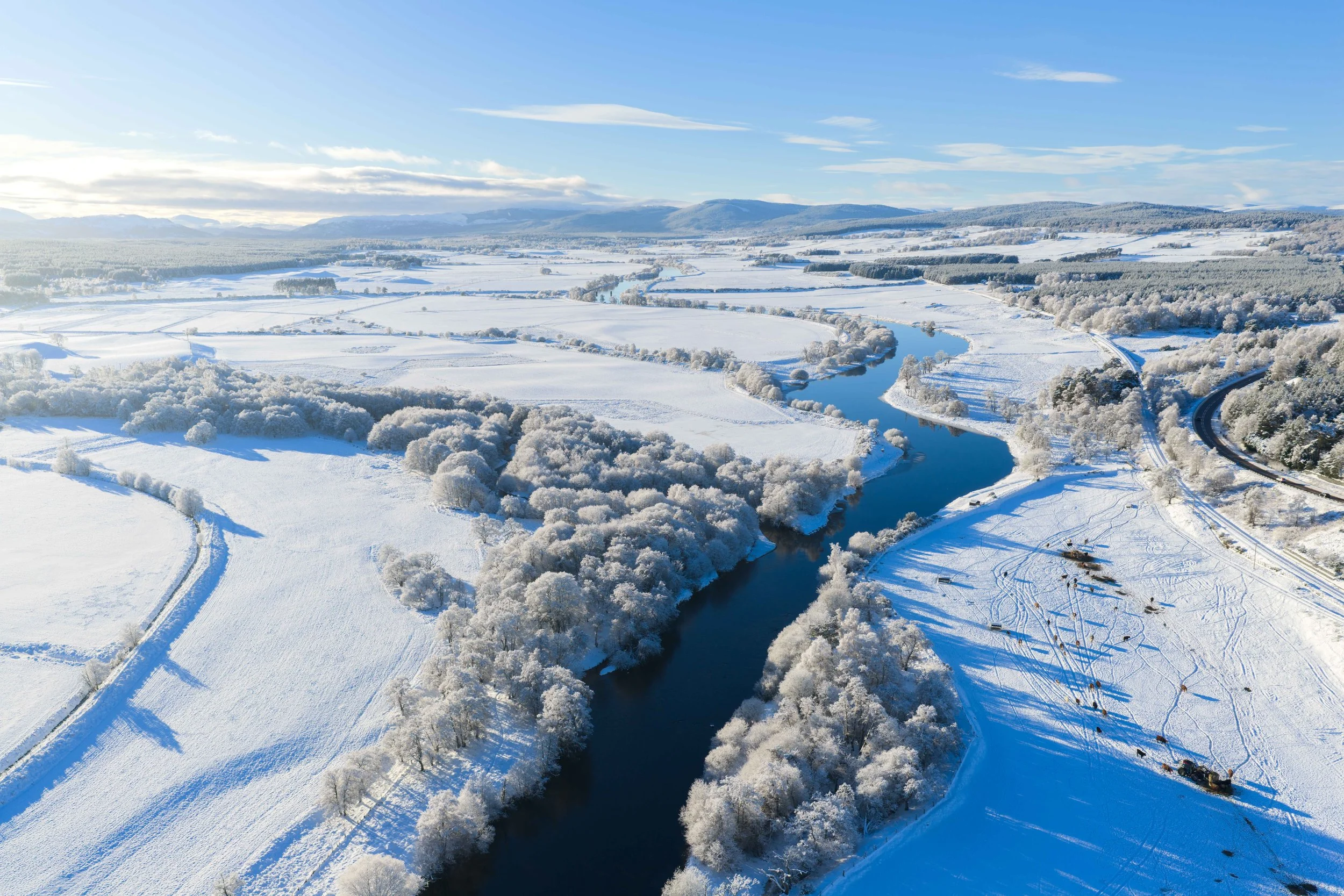 ABERNETHY-2.jpg