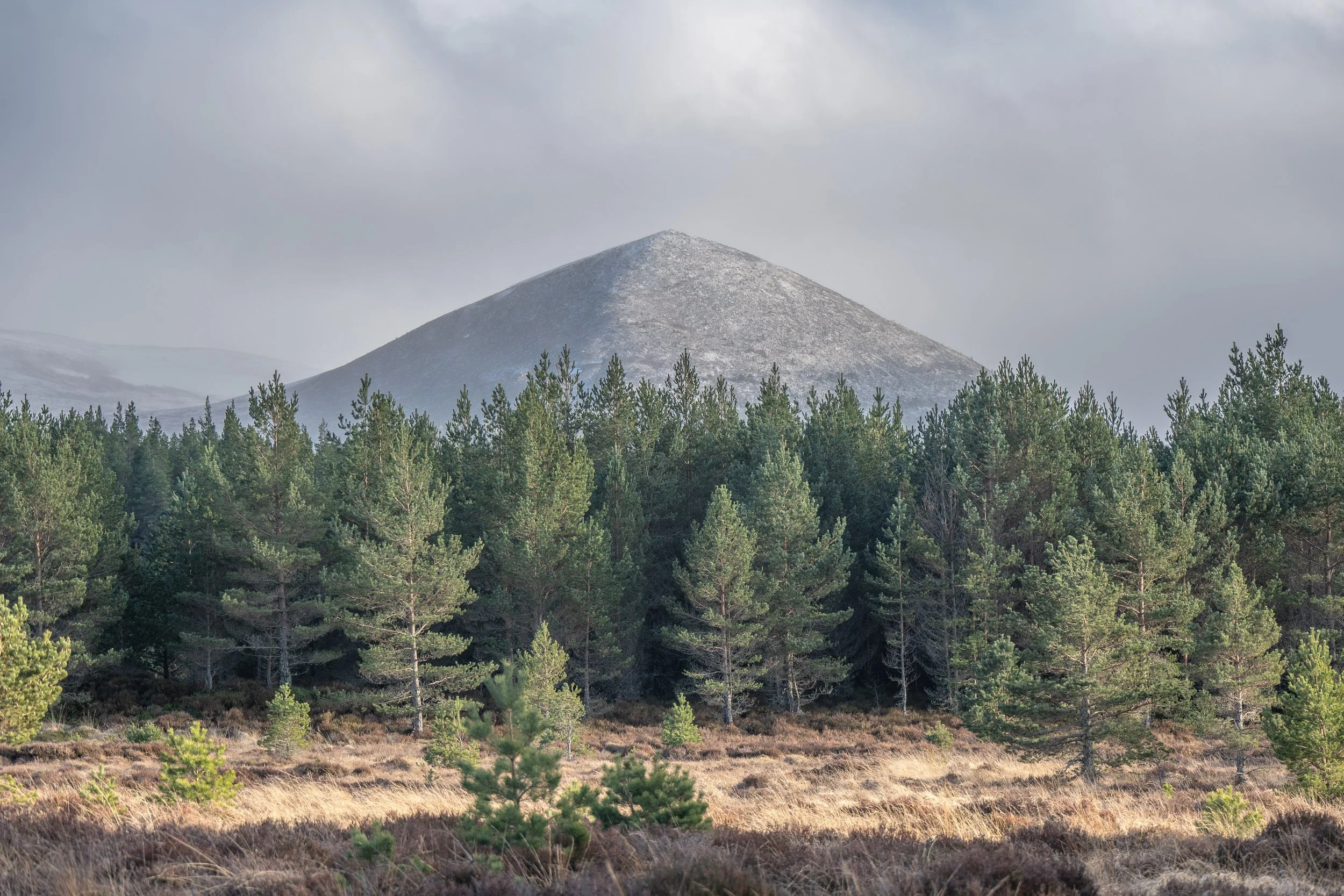 ABERNETHY-13.jpg