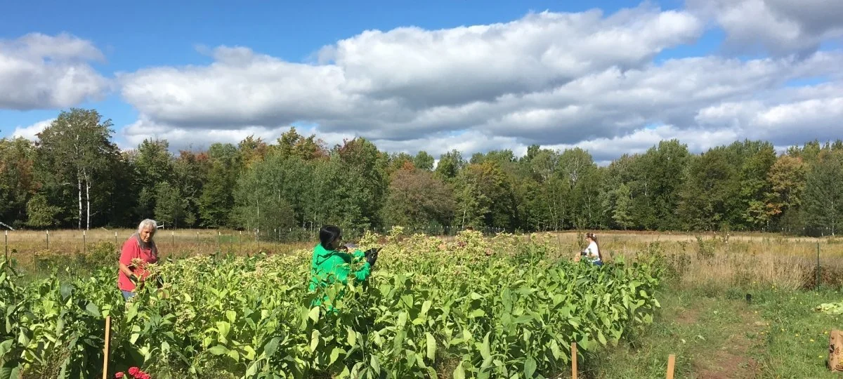 food-sovereignty-digs-NRD Photo.jpg