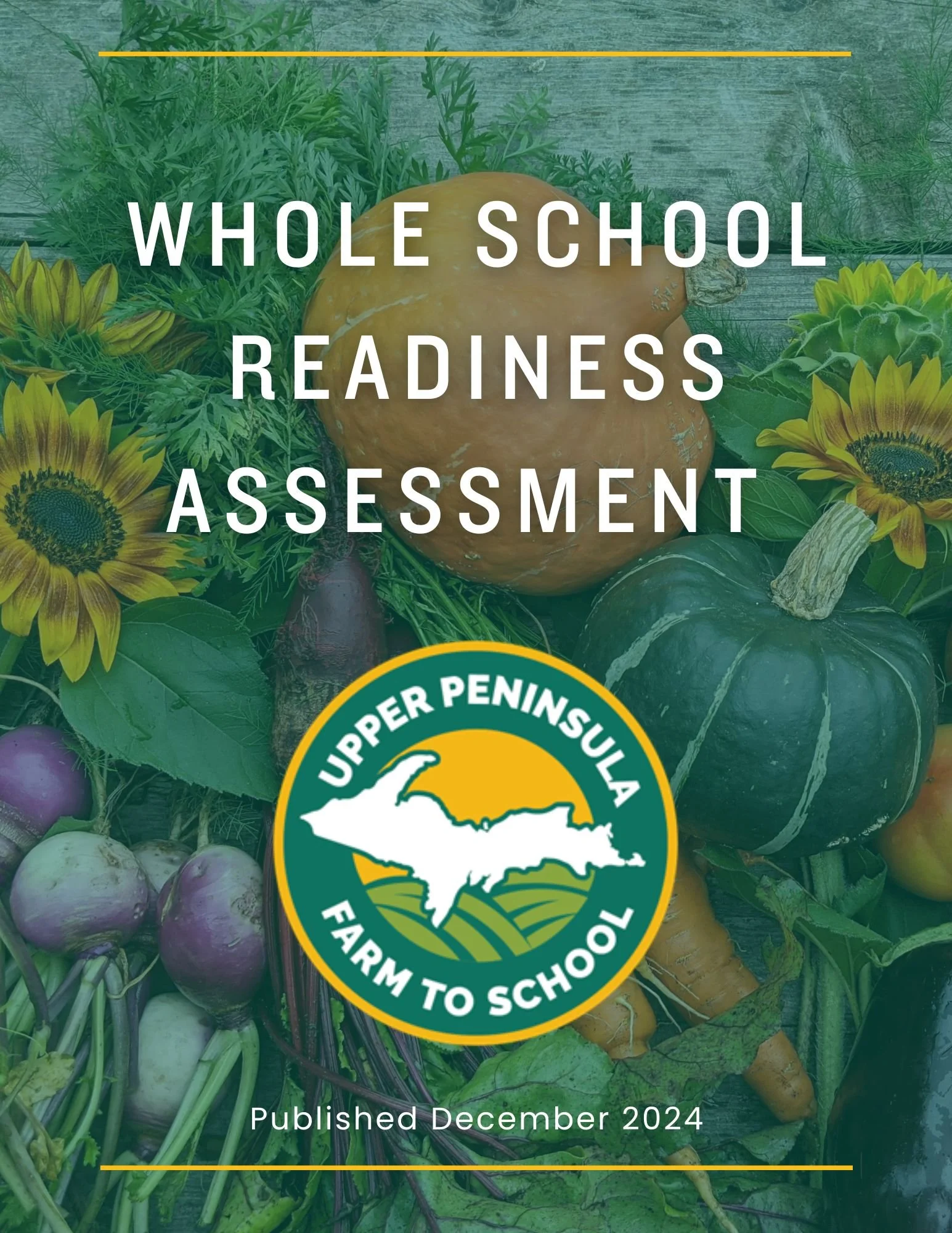 Whole School Readiness Assessment.jpg