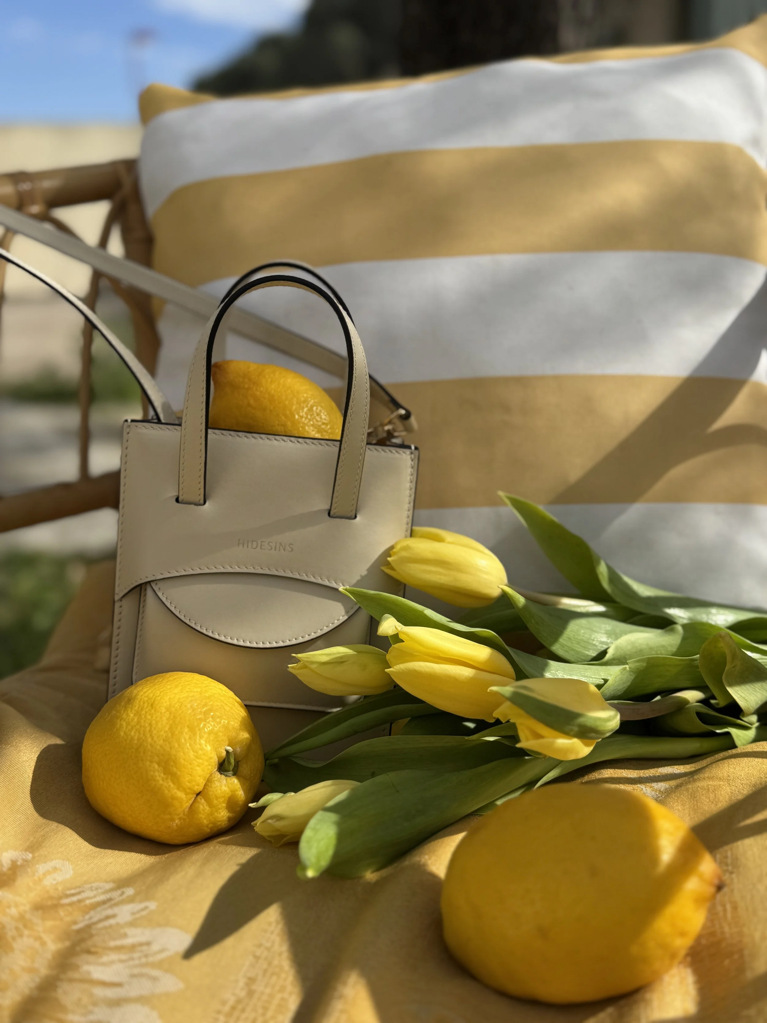 Sac_hidesins-miniflap- (4).jpg