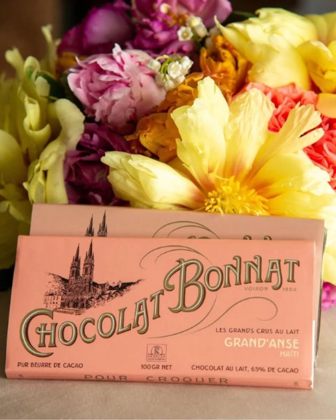 Vignette-MlleC (1).jpg