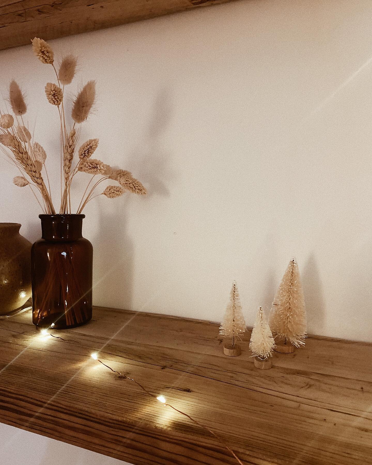 ⋒ fun fact about me: I love miniature stuff. Including these tiny Christmas trees...How adorable are they?😍