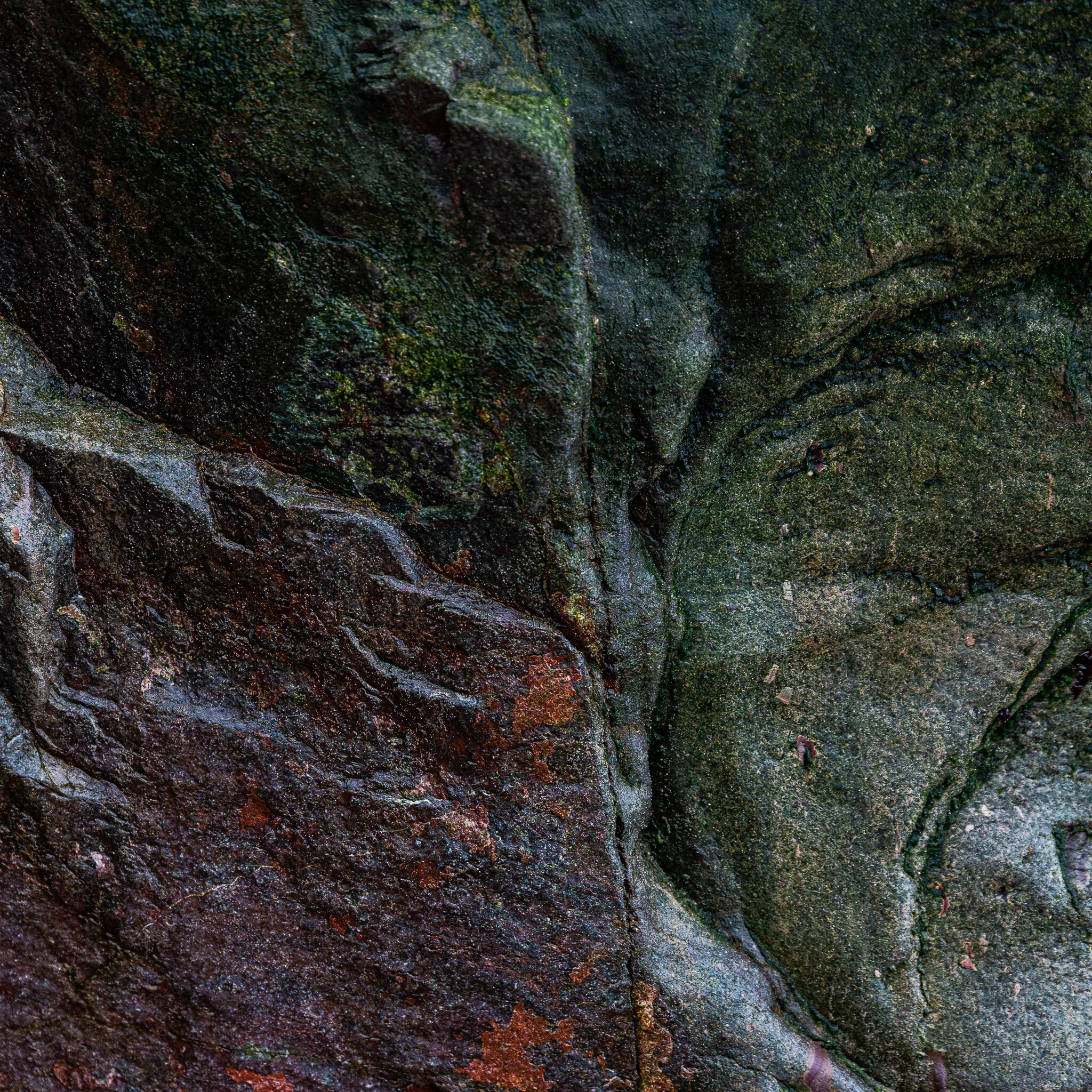 _34A1600.jpg