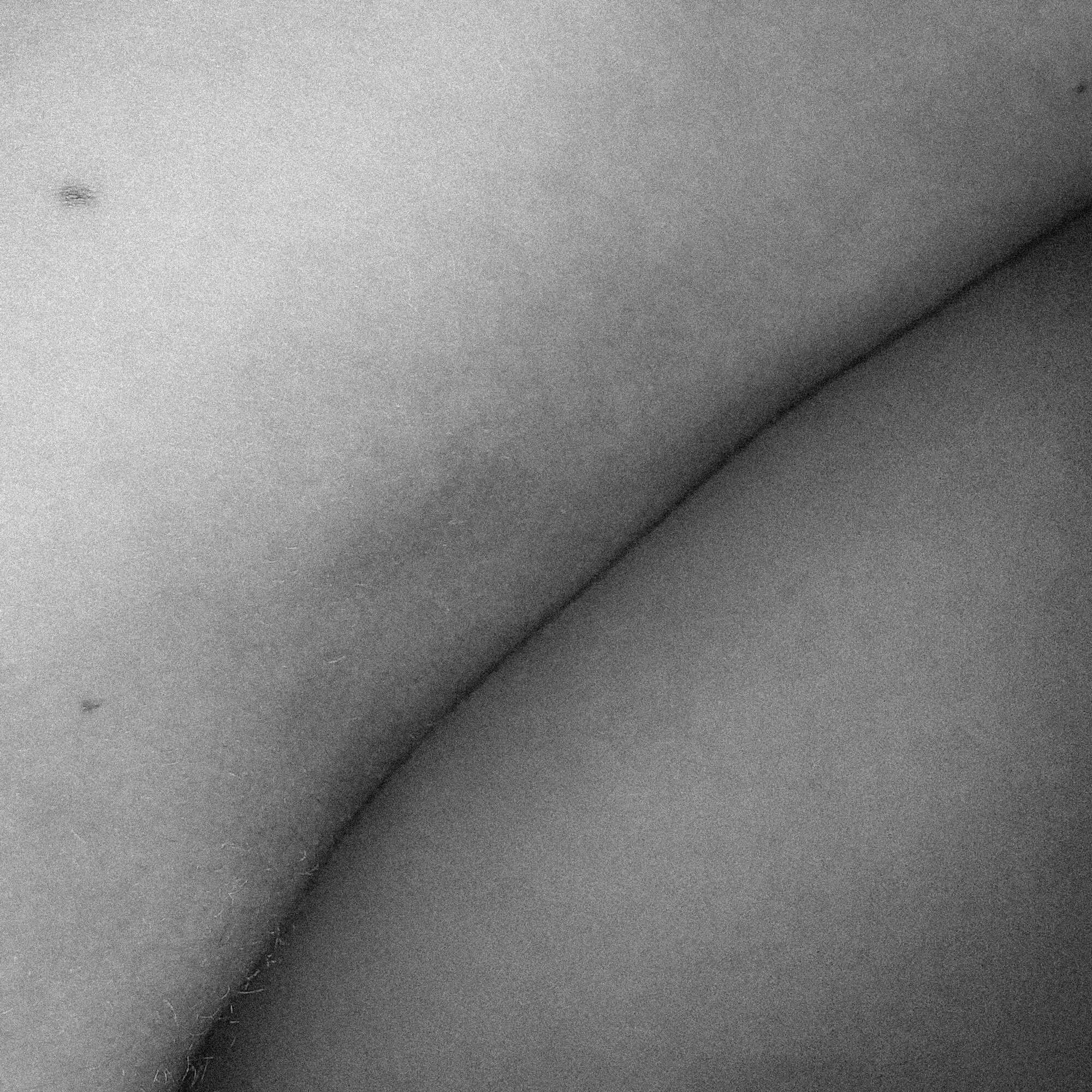 IMG_0291.jpg