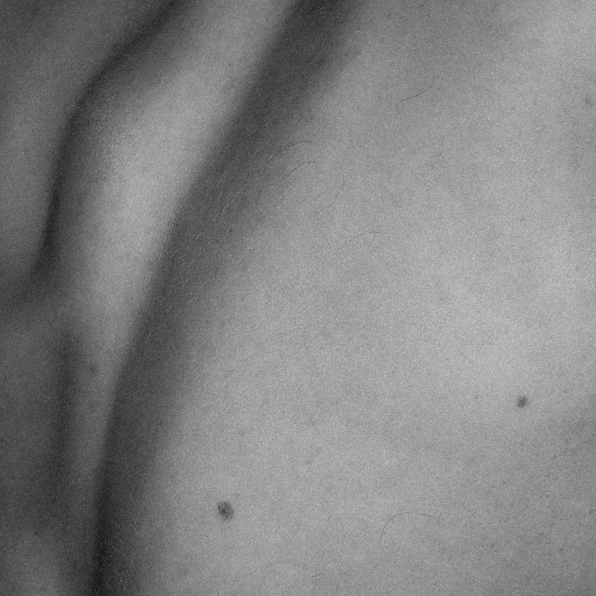 IMG_0284.jpg