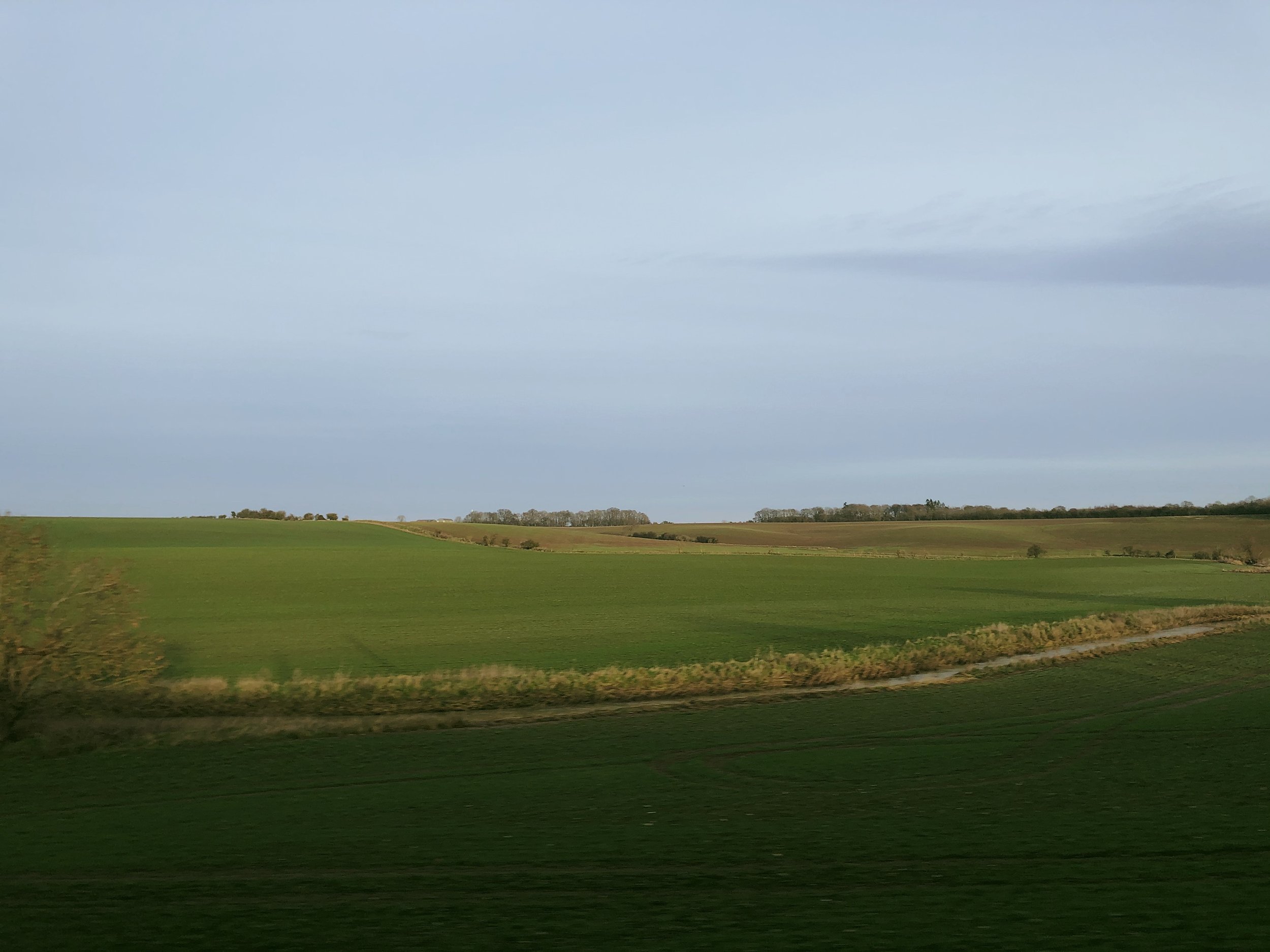 065EA0FE-83F5-4759-8D9E-9AC7446DA1E0.jpg