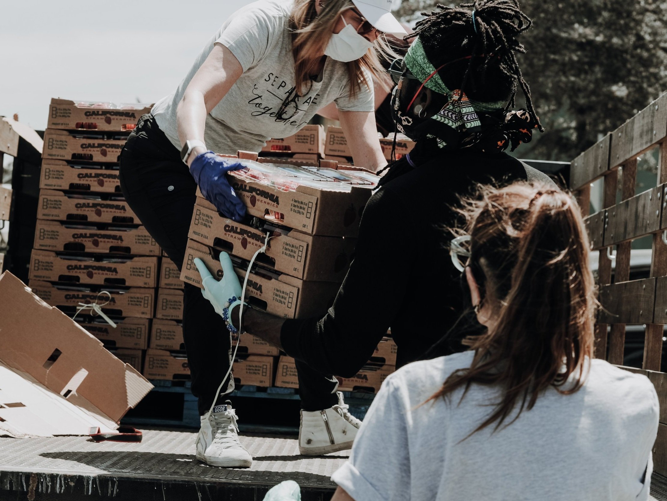 Navigating the Volunteer Landscape