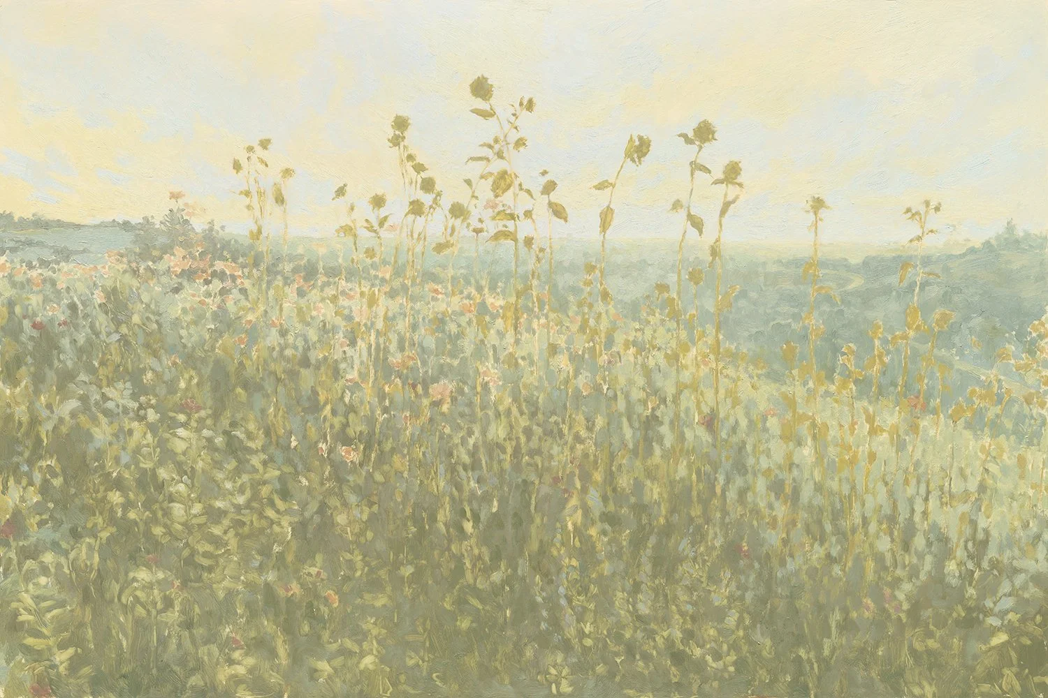 Large Sunflowers.jpg