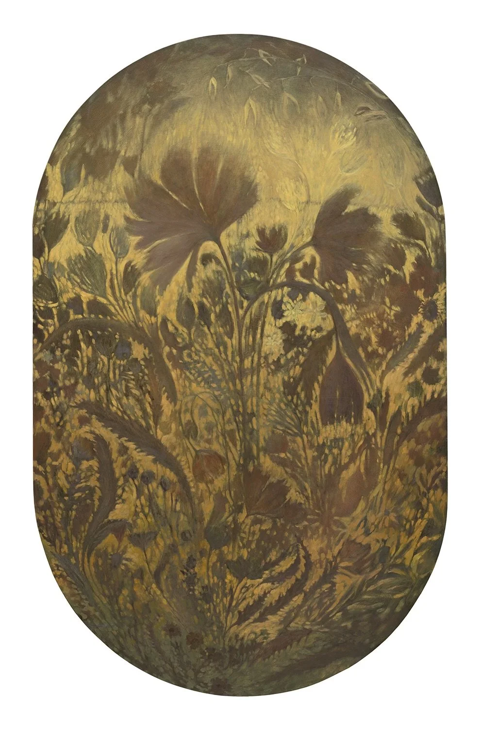 Rooted Cosmos (crated shipping included)