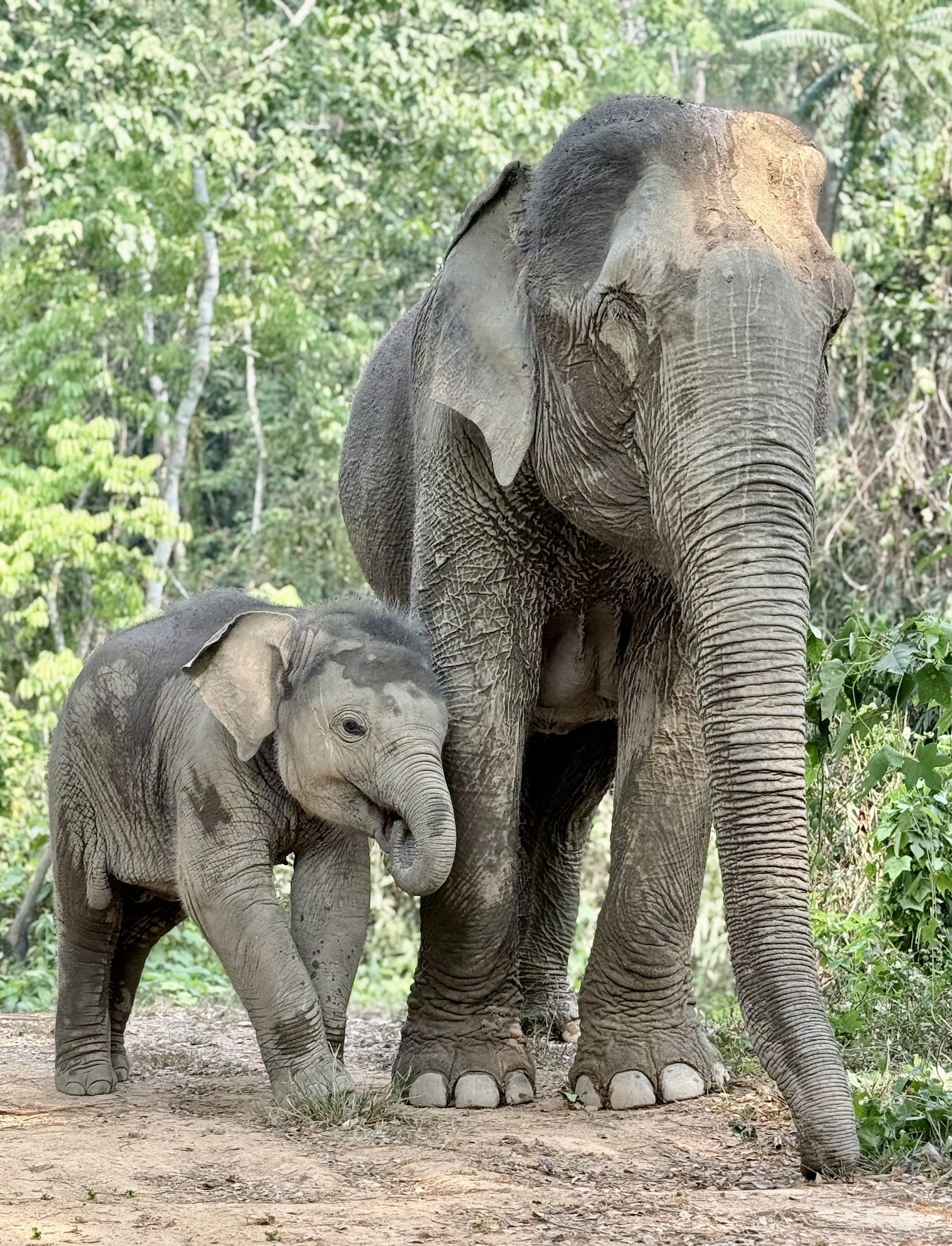 Mama Rose &amp; Baby Precious
