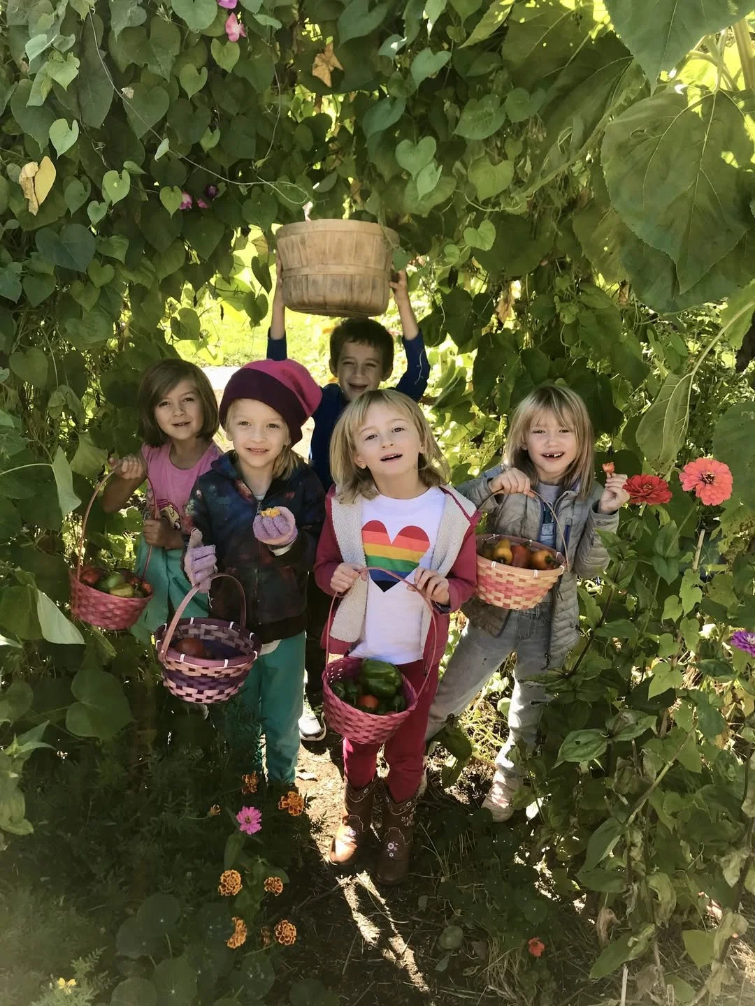 Mount Desert Elementary School Garden