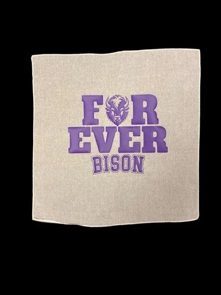 team pride handkerchief