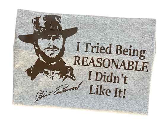I Tried Being Reasonable I Didn't Like It T-Shirt