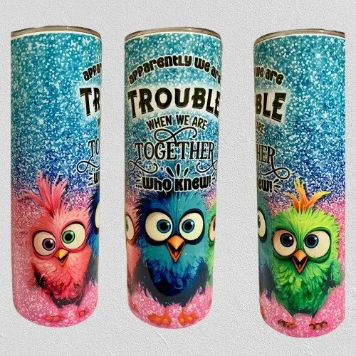 Apparently we are trouble when we are together stainless steel friend traveling mug