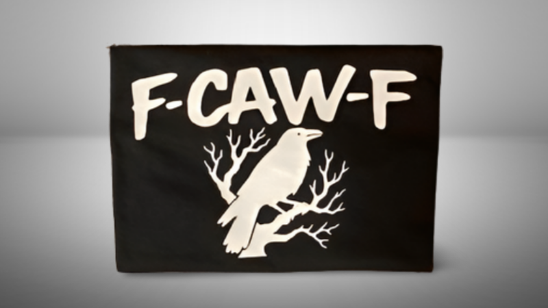 Crow bird graphic tee