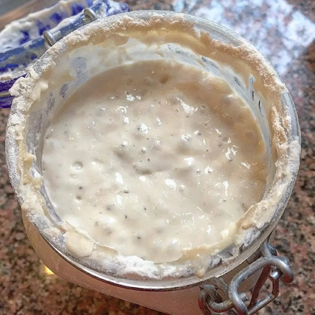 Sourdough in a jar .jpeg