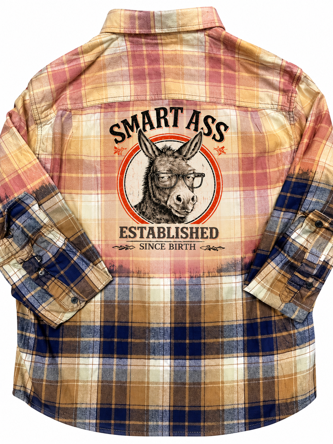 Smart Ass Established Since Birth Donkey Distressed Flannel 2.png