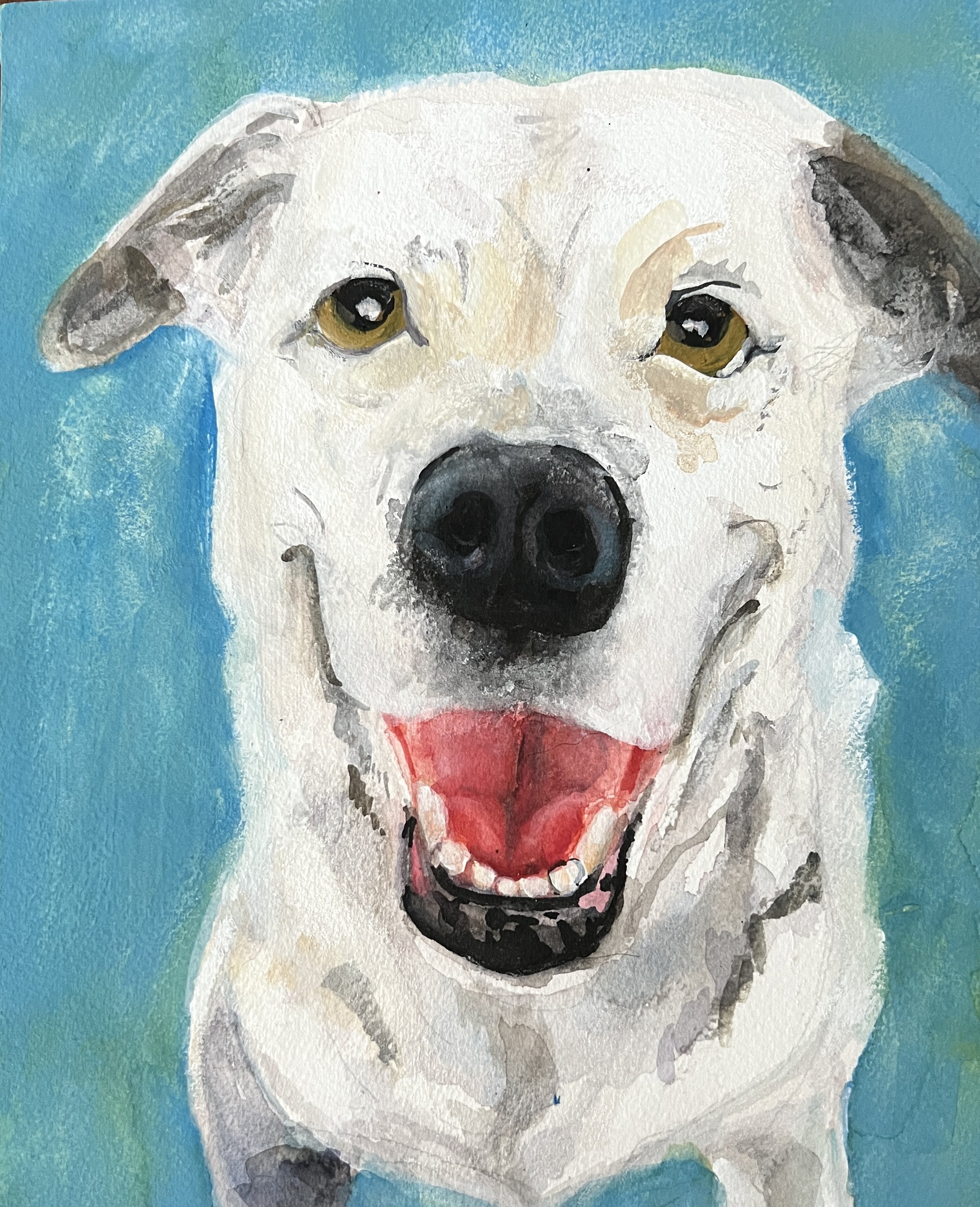 Pet portrait for a client. Mixed media on watercolor panel. 9”x12”