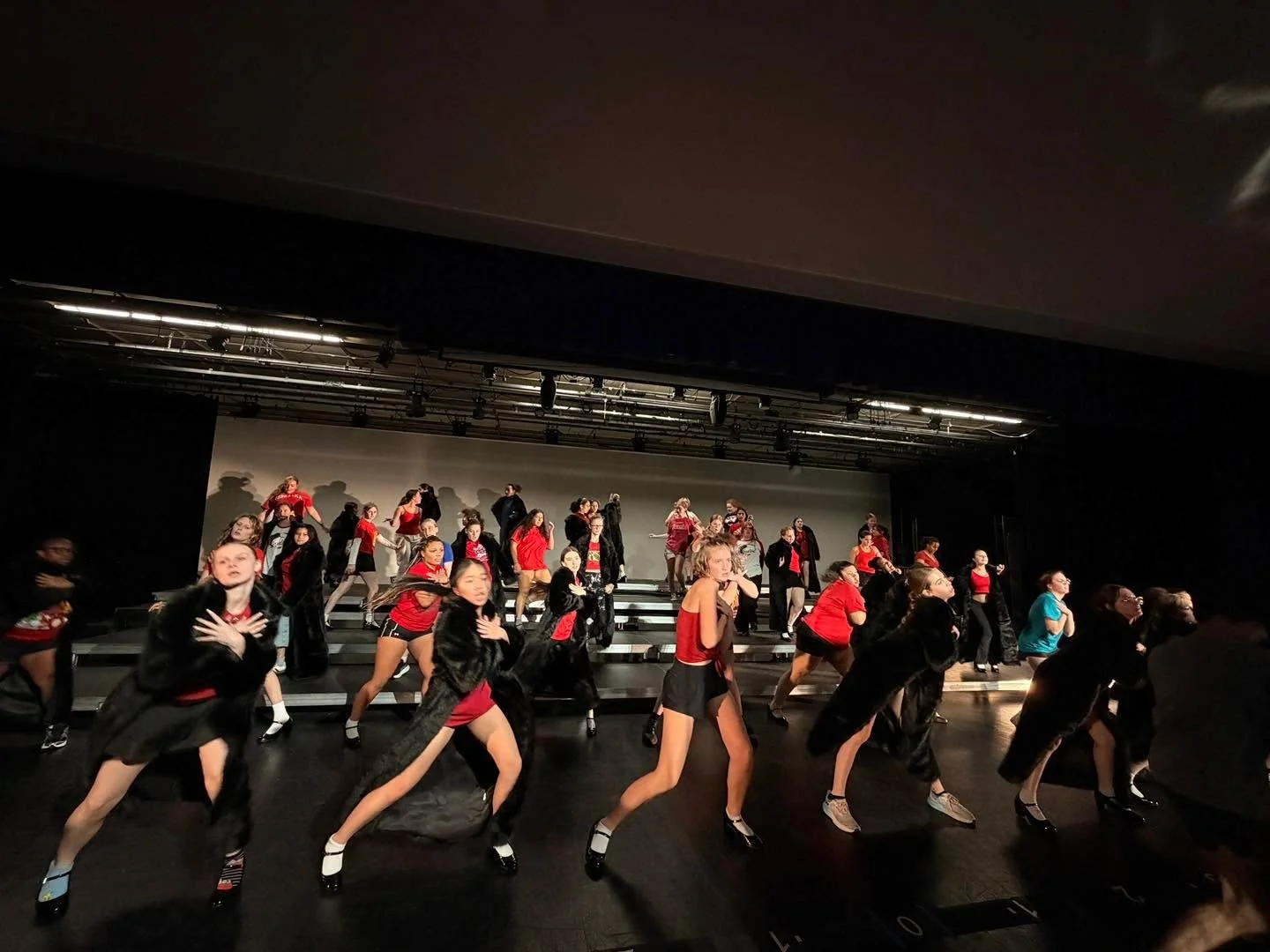 We jumped right back into choreo this weekend, learning our closer and features. Time to finish the set and get ready for comp season 🐾