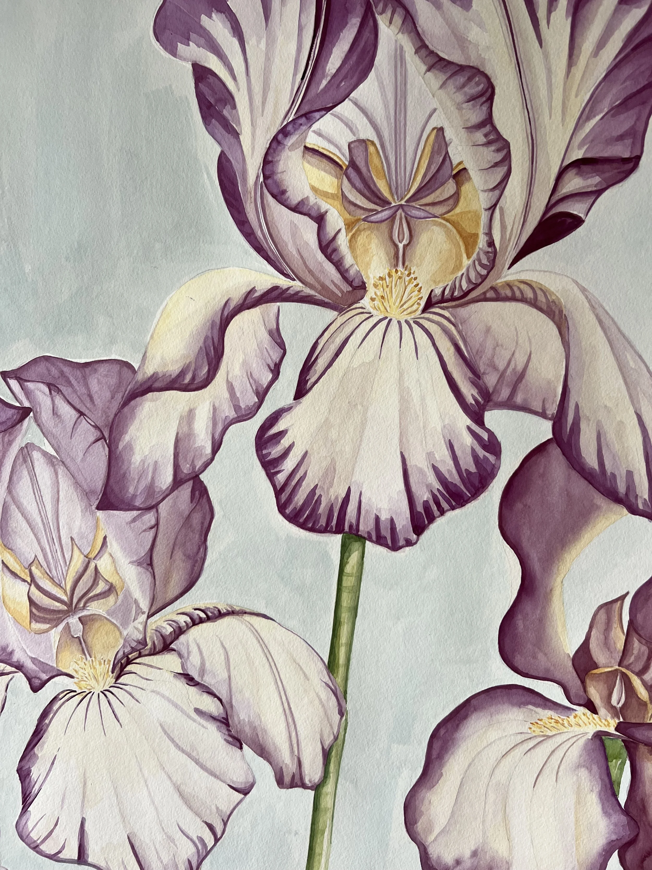 Iris Cecil Beaton .jpeg