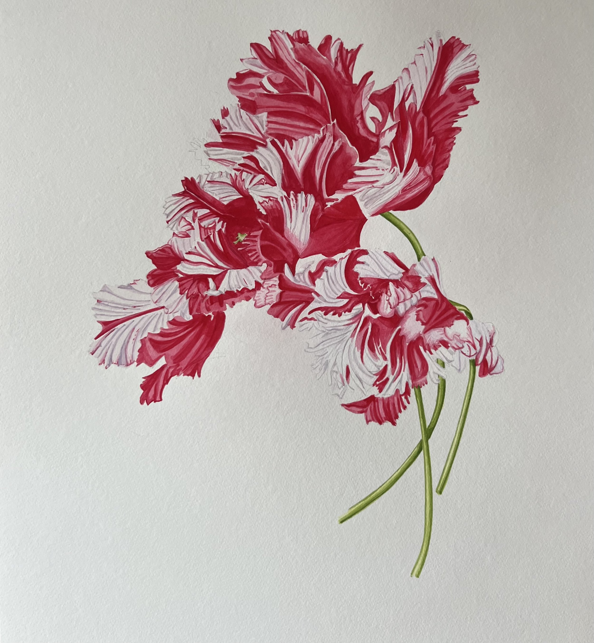 Estelle Rinjvald 2.jpeg