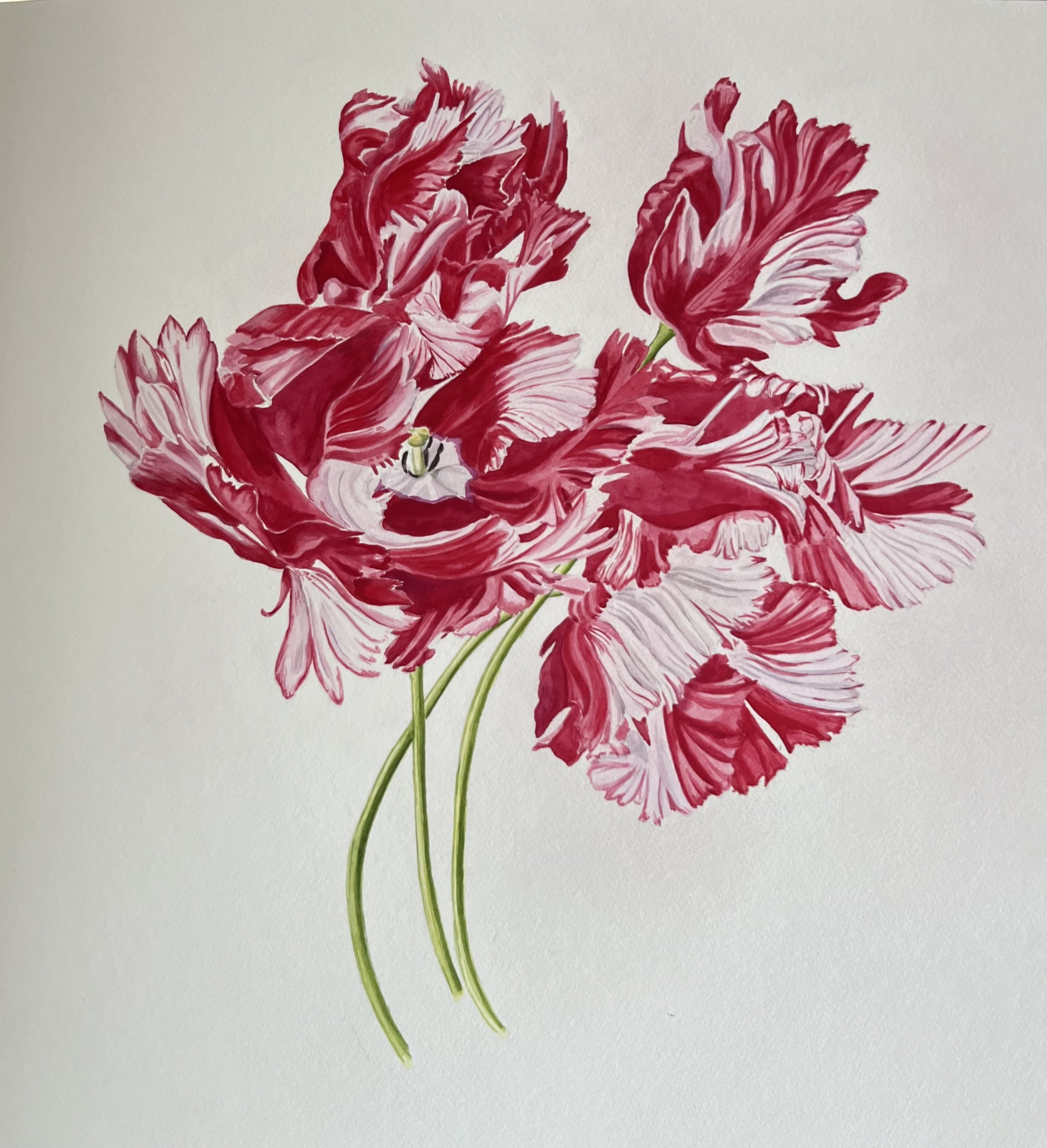 Estelle Rinjvald 1 .jpeg