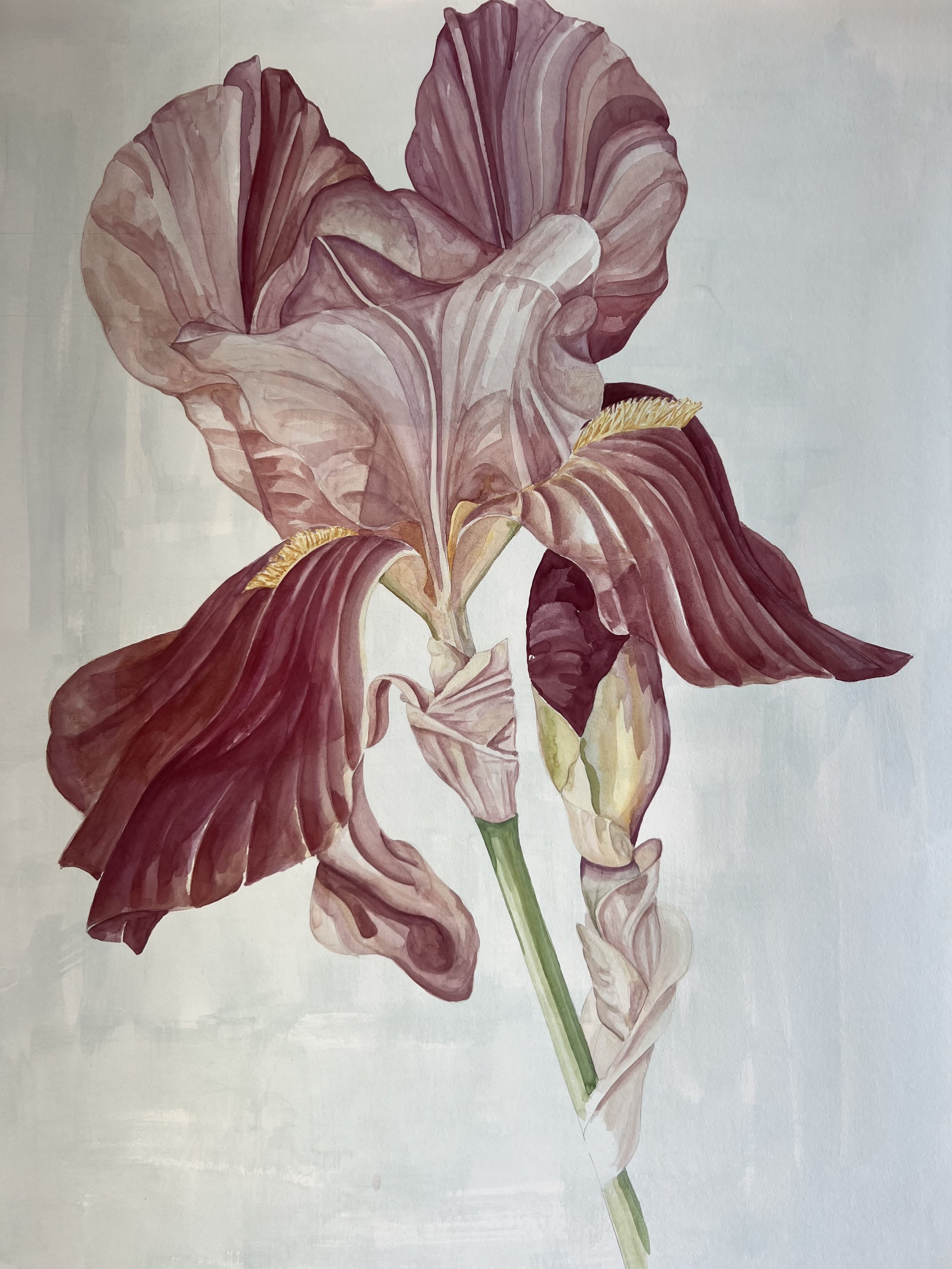 Iris Benton Caramel - Sophie Roberts .jpeg