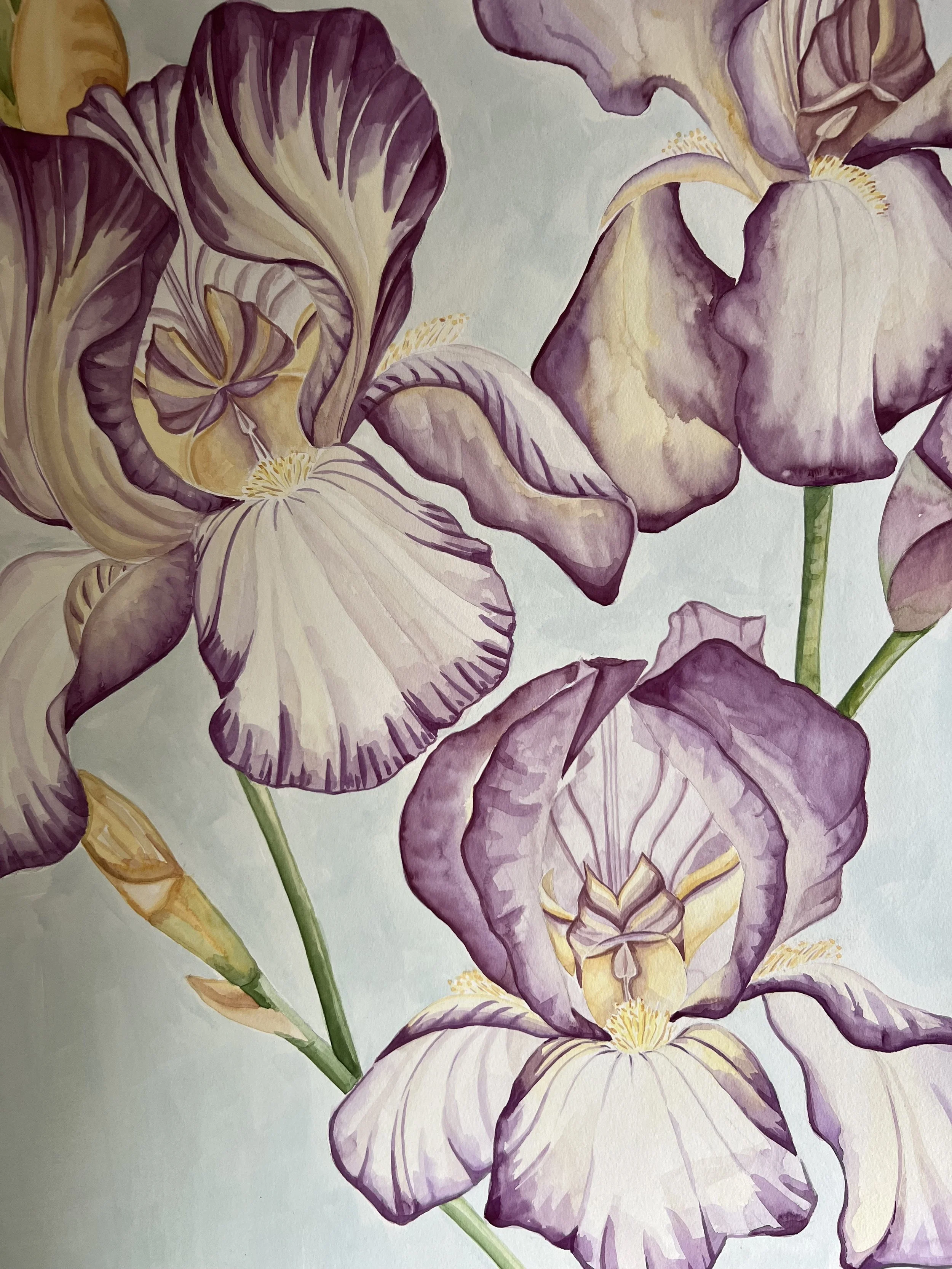 Iris Cecil Beaton 2.jpeg