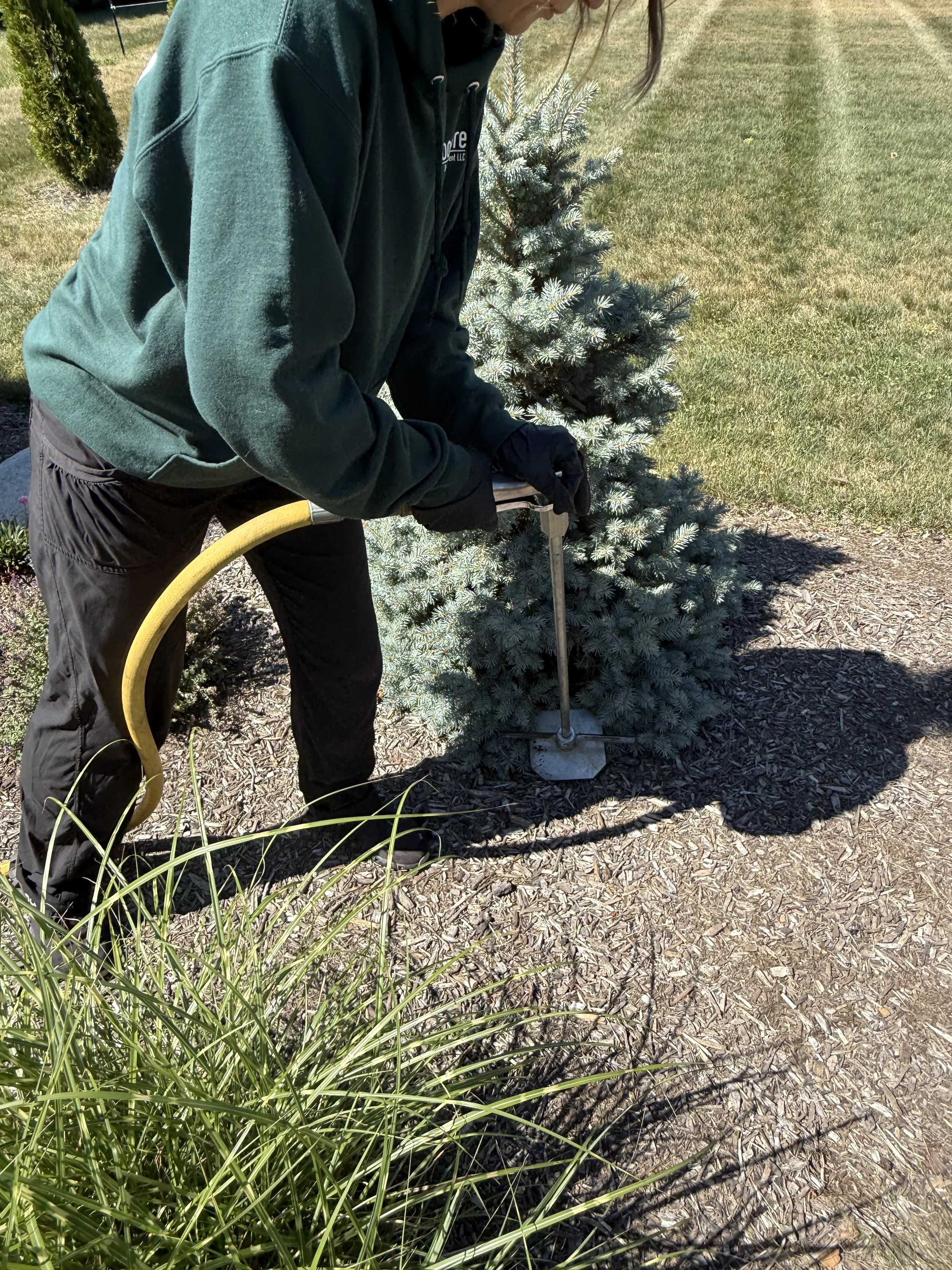 soil amendment injection arborcare tree pittsford NY.JPG