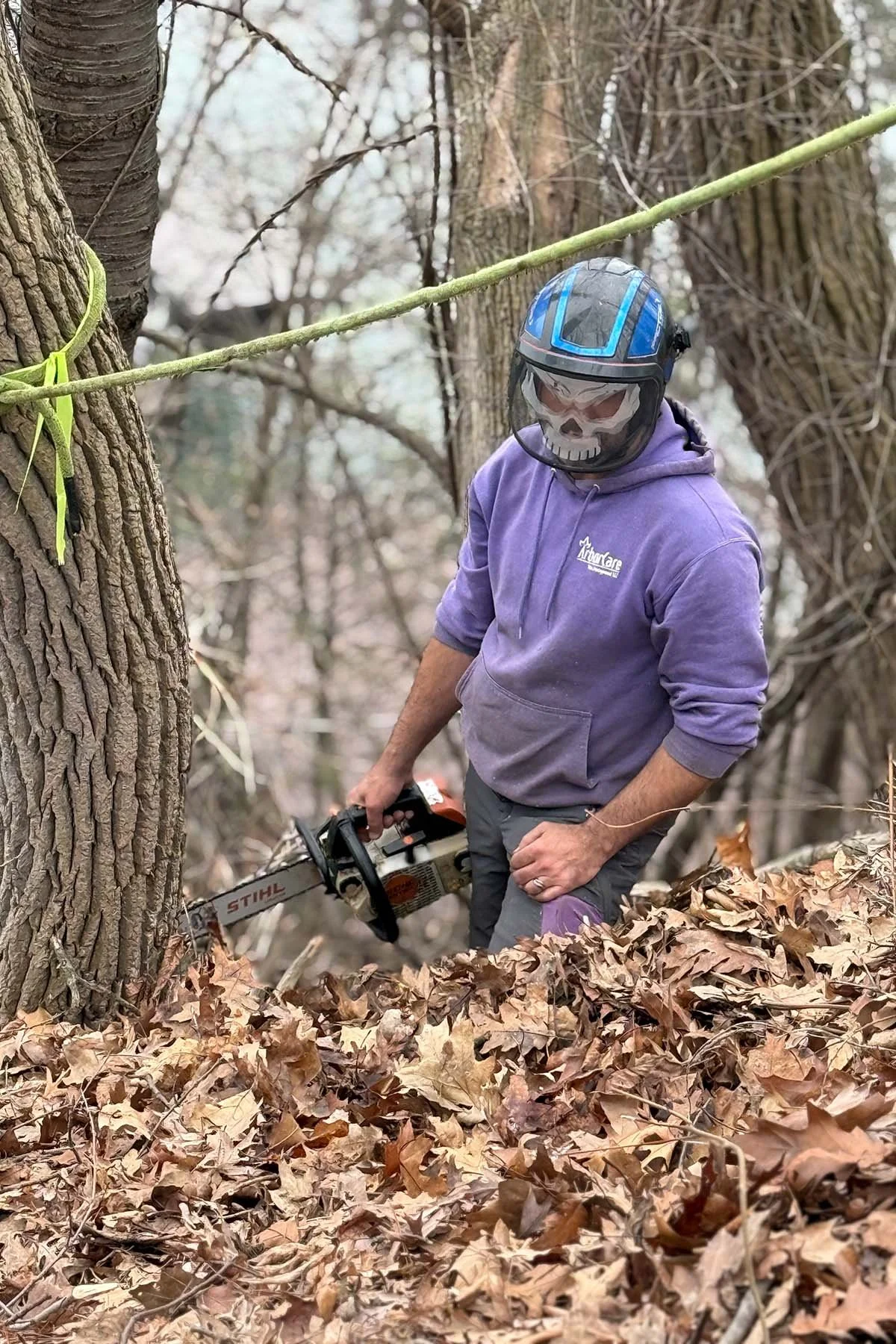 PPE for tree removal arborcare.jpg
