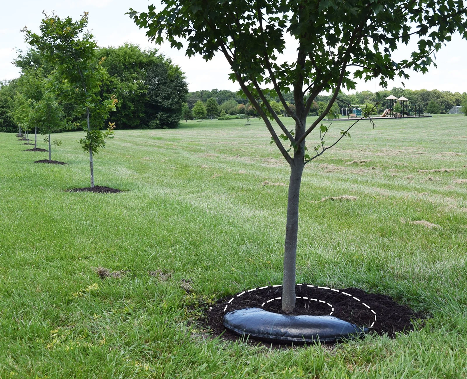 Tree deep watering diaper