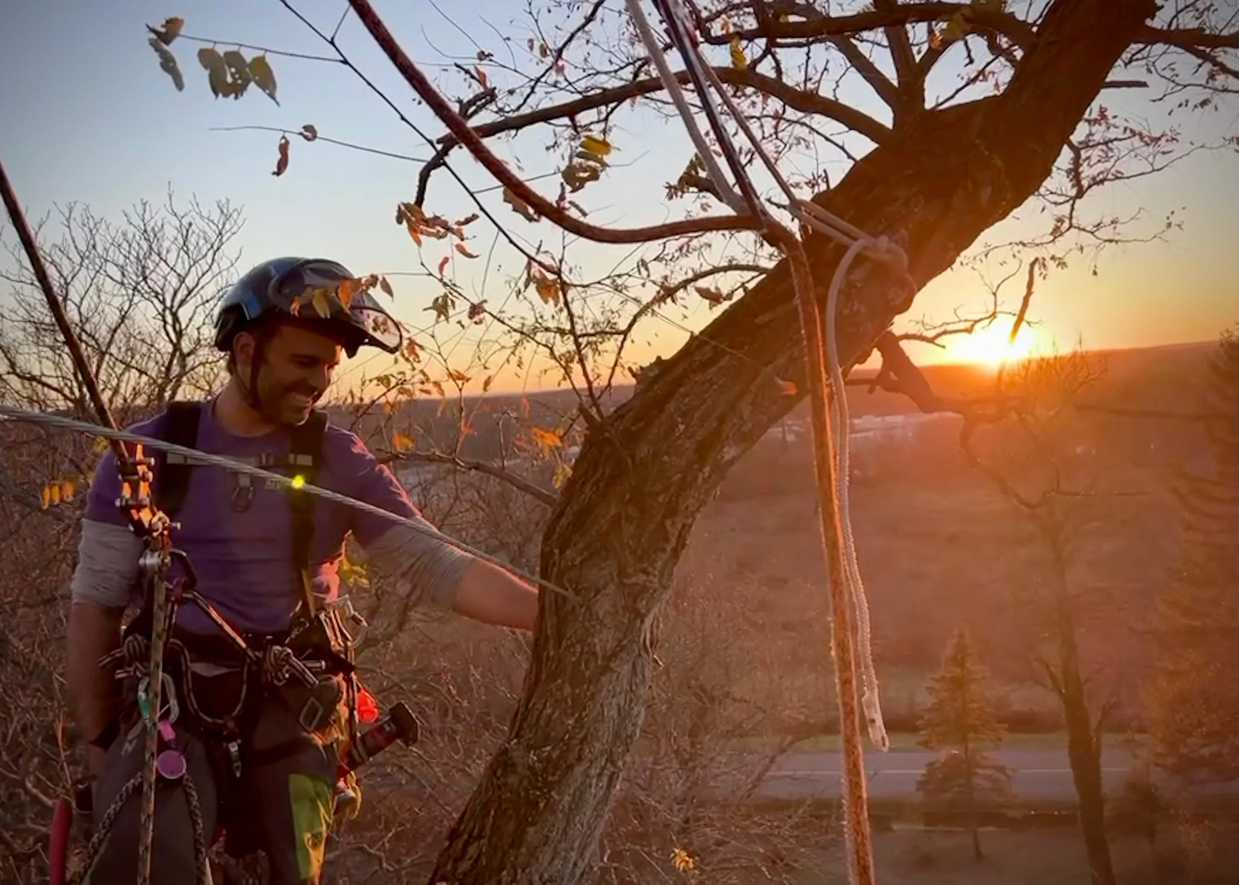 sunset laugh while you work arborcare.jpg