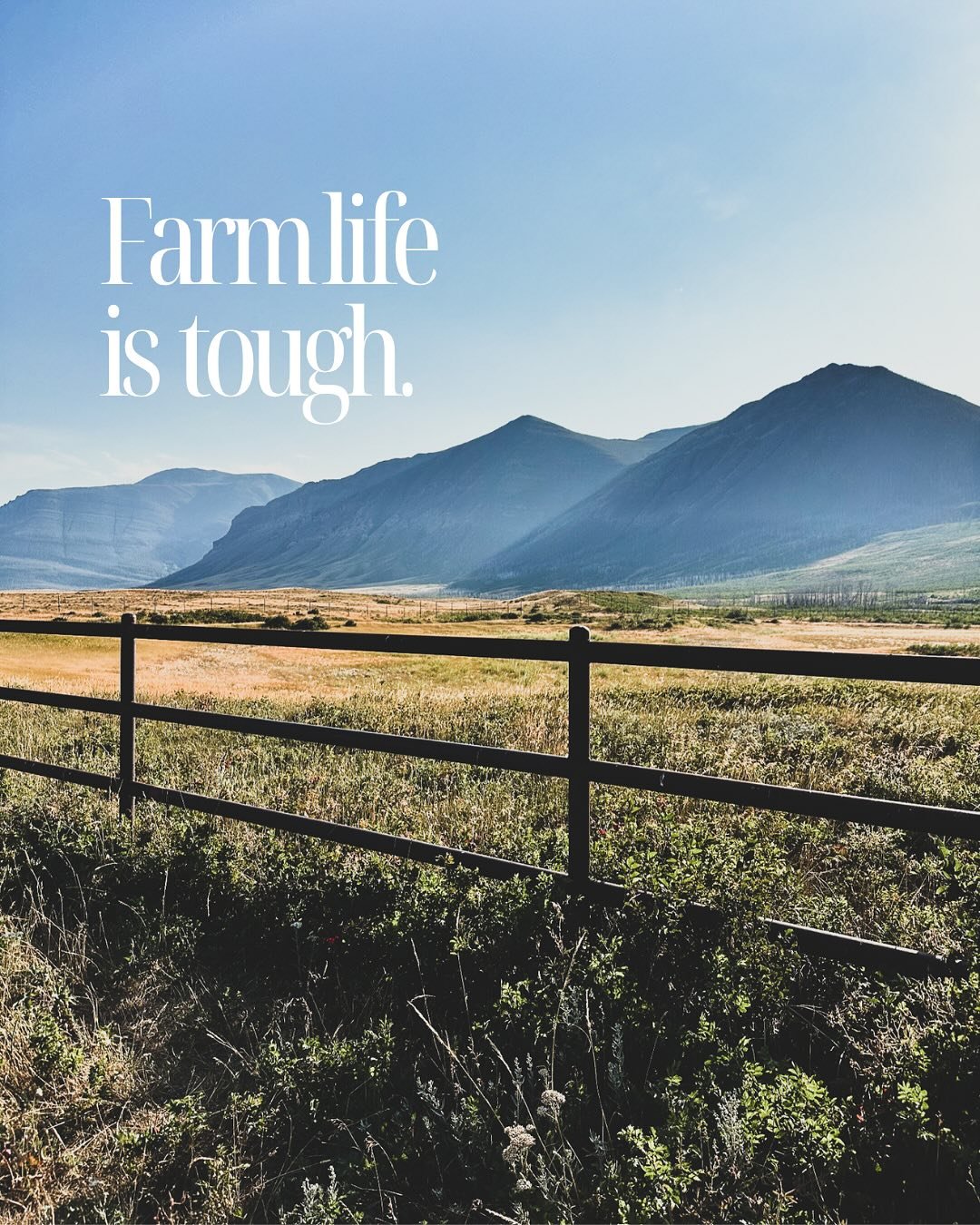 During heat waves, episodes of hail, dust storms&mdash; yesterday&rsquo;s gift &mdash; or pests destroying something precious, I can&rsquo;t help but wonder why I&rsquo;ve chosen a path filled with such hardships. Dealing with the unforeseen, having 