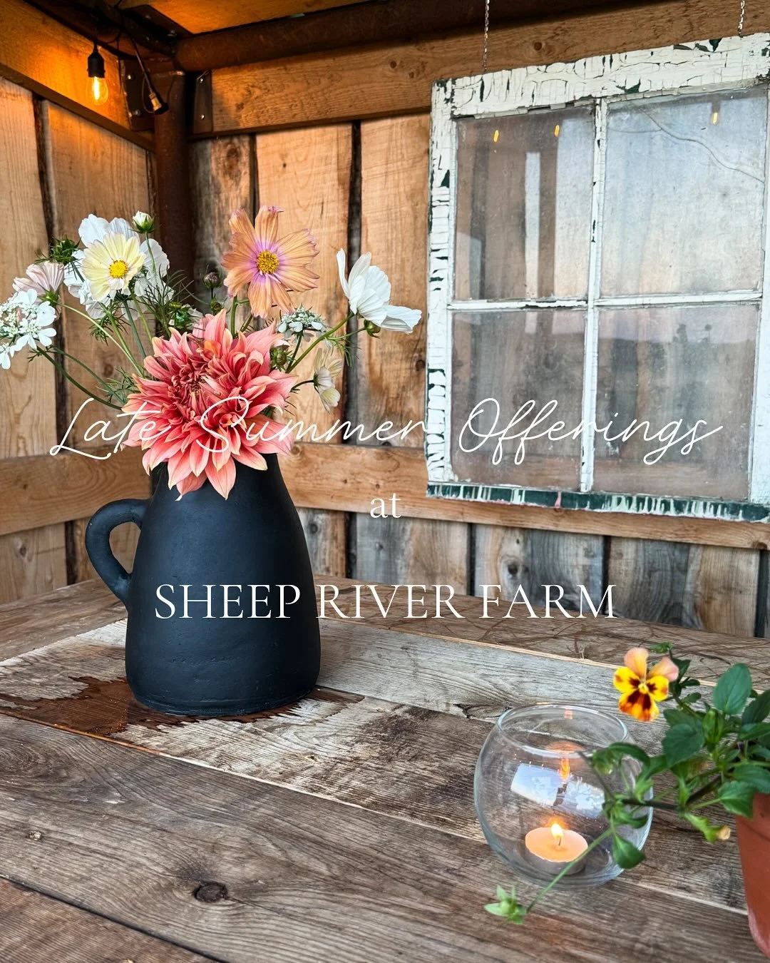 As summer draws to a close, we invite you to experience the exceptional beauty currently on display at our farm with all flowers in bloom.

We have recently transformed a horse shelter into a welcoming space for floral design during u-picks, as well 