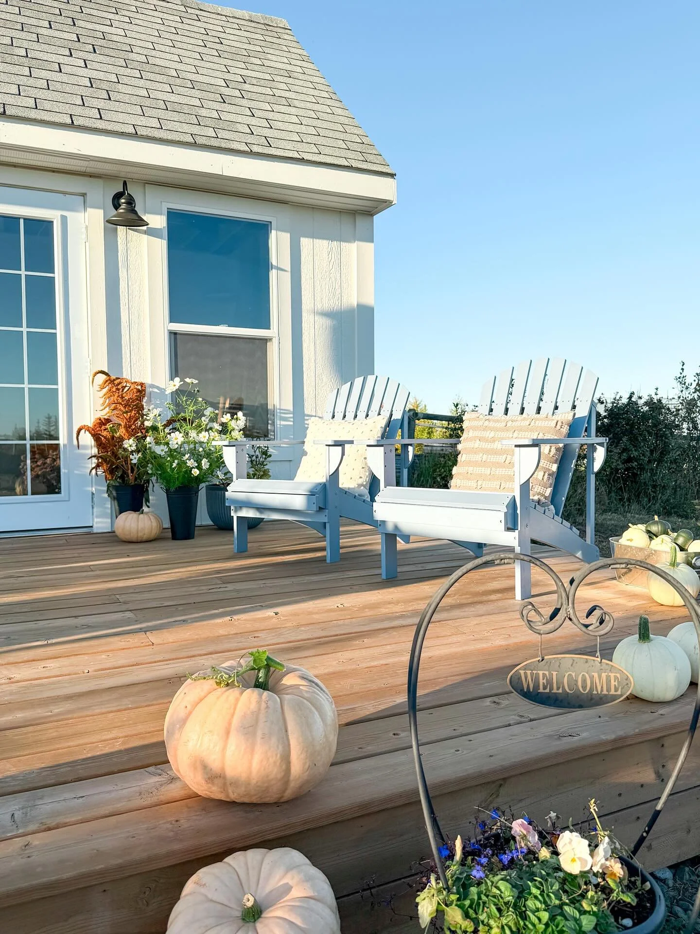 🍂Fall harvests of pumpkins &amp; blooms, and a weathered shed that&rsquo;s becoming a peaceful haven where little flower dreams come to life.🍂

It seems Mother Nature will be kind to us for a little while longer and that means we&rsquo;ll be offeri